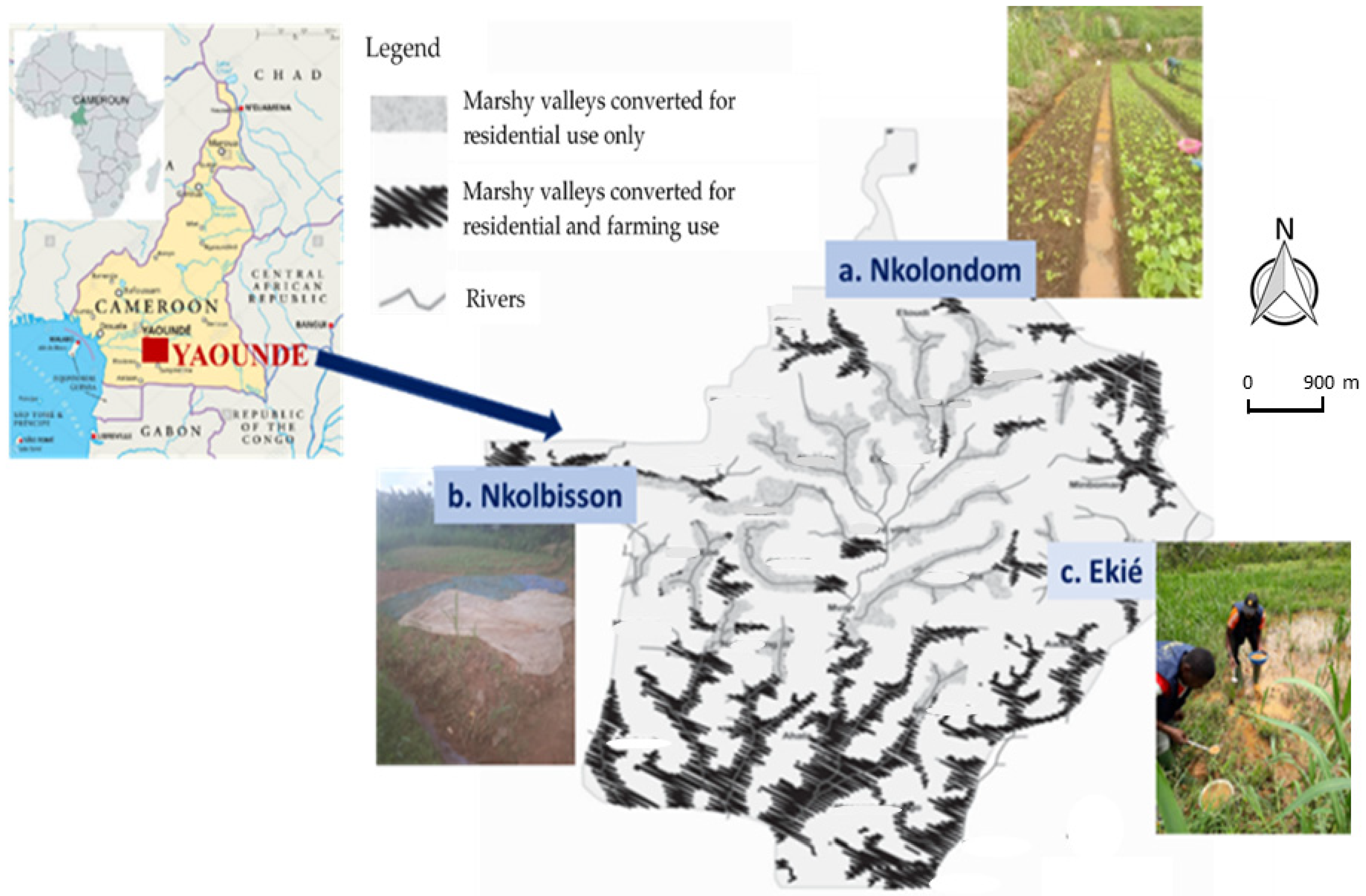 Molecules 26 05543 g001 550