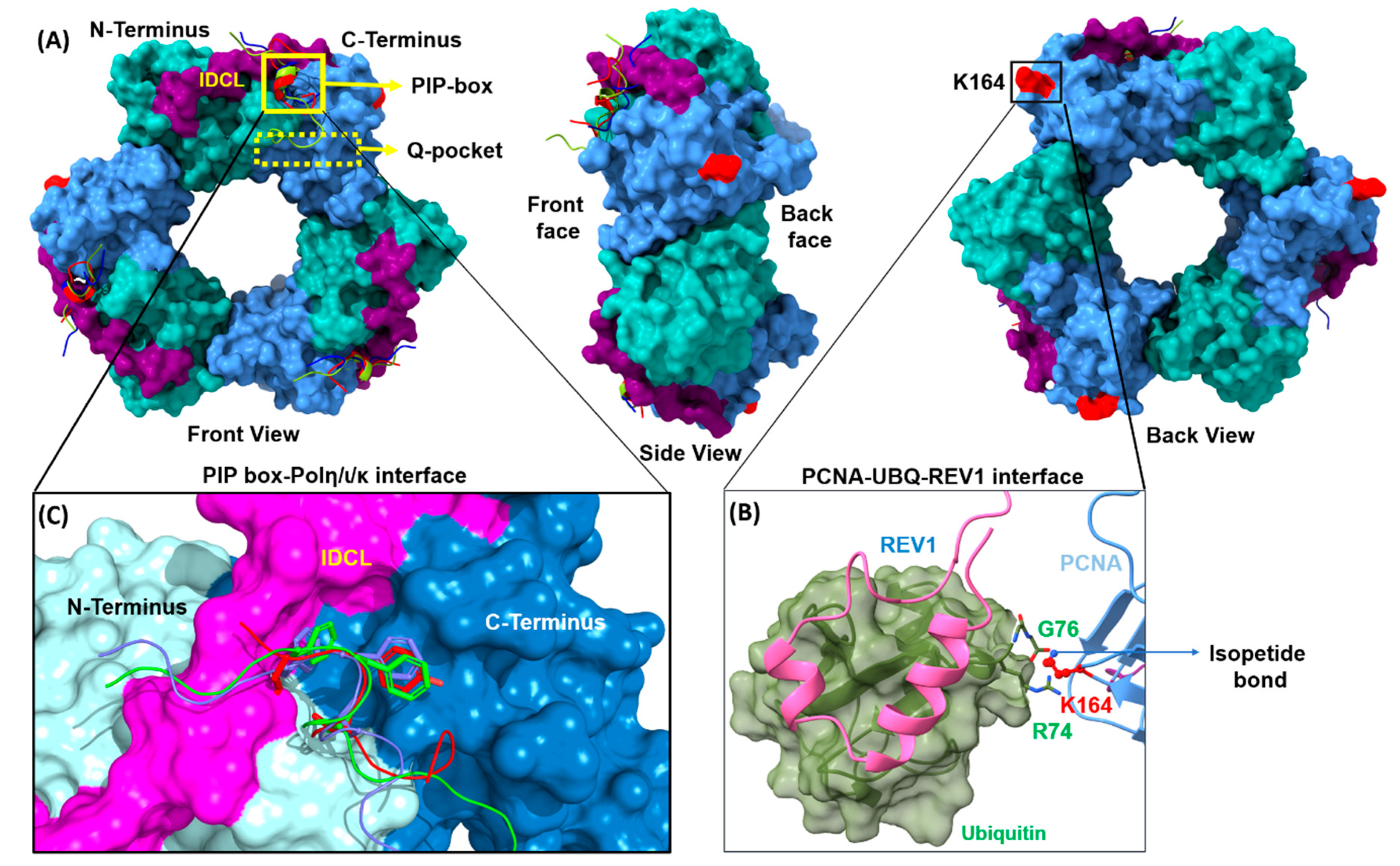 Molecules 26 05544 g003