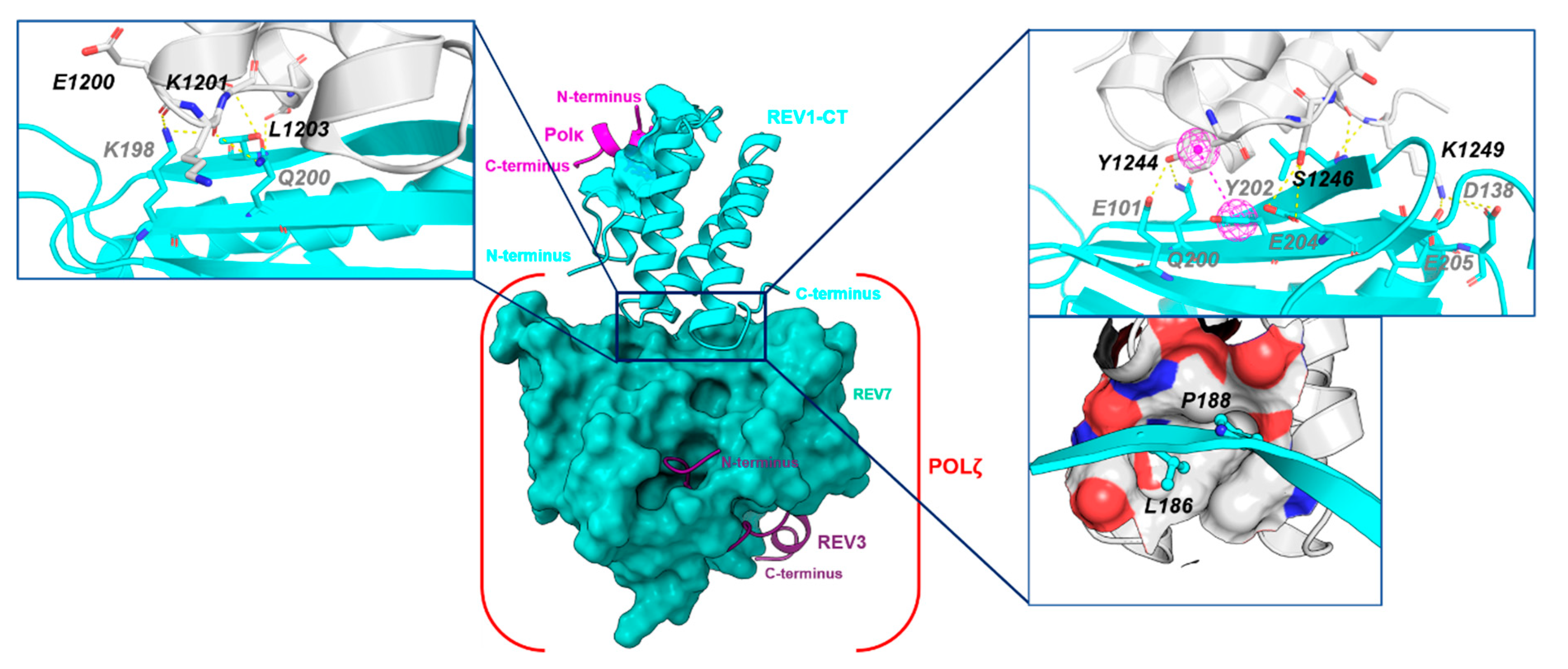 Molecules 26 05544 g008