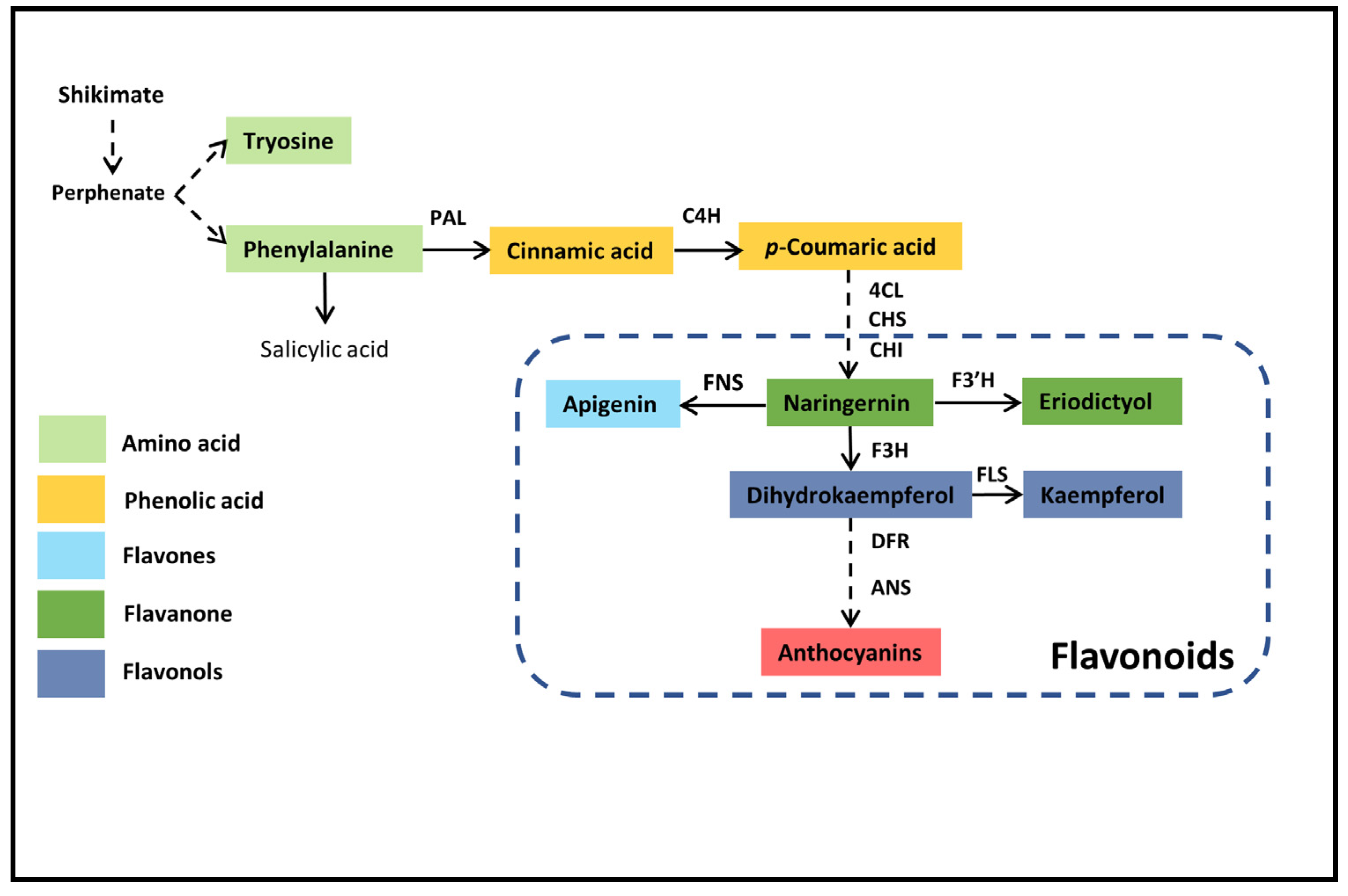 Molecules 26 05546 g001 Molecules 26 05546 g001