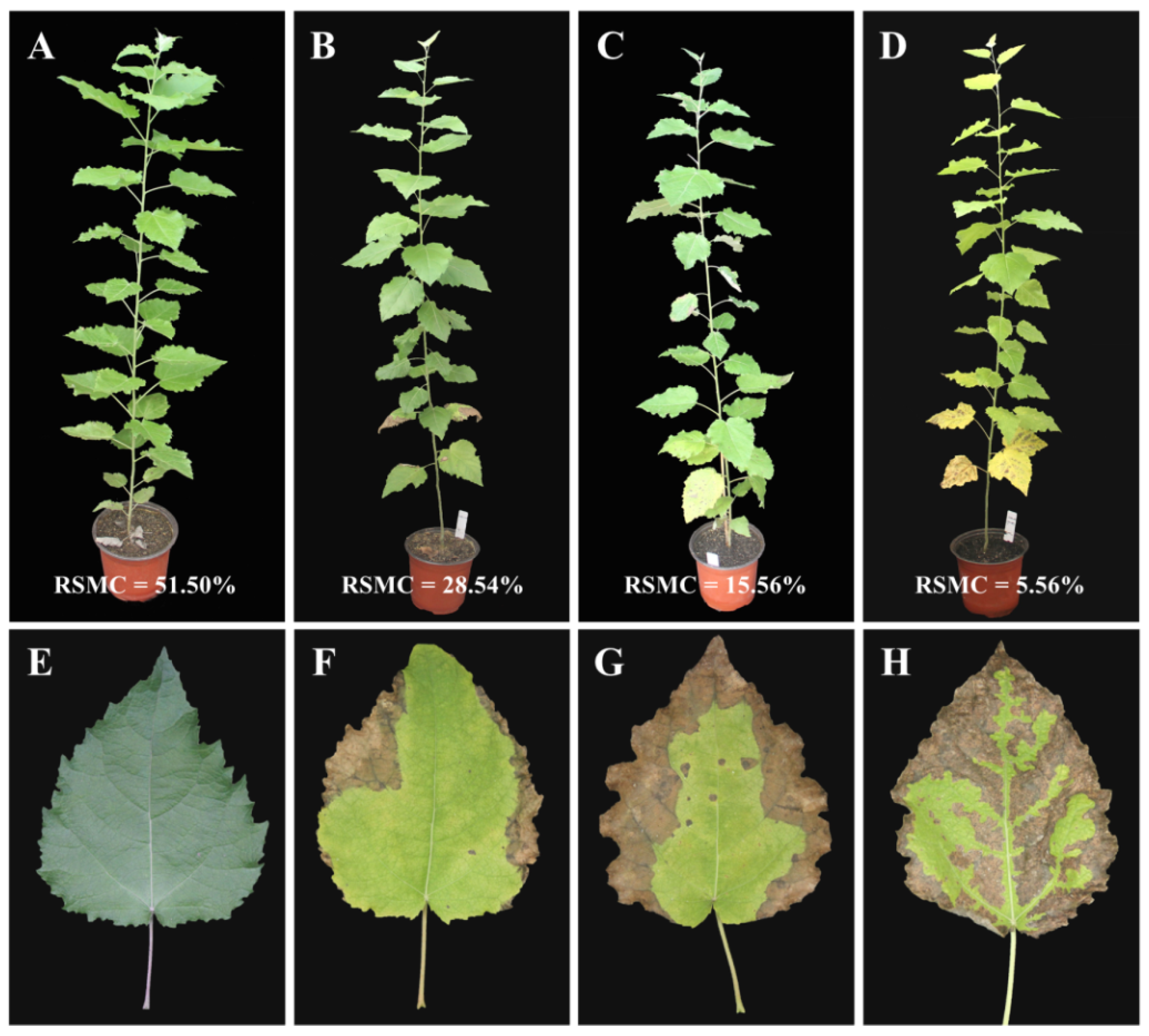 Molecules 26 05546 g002 Molecules 26 05546 g002