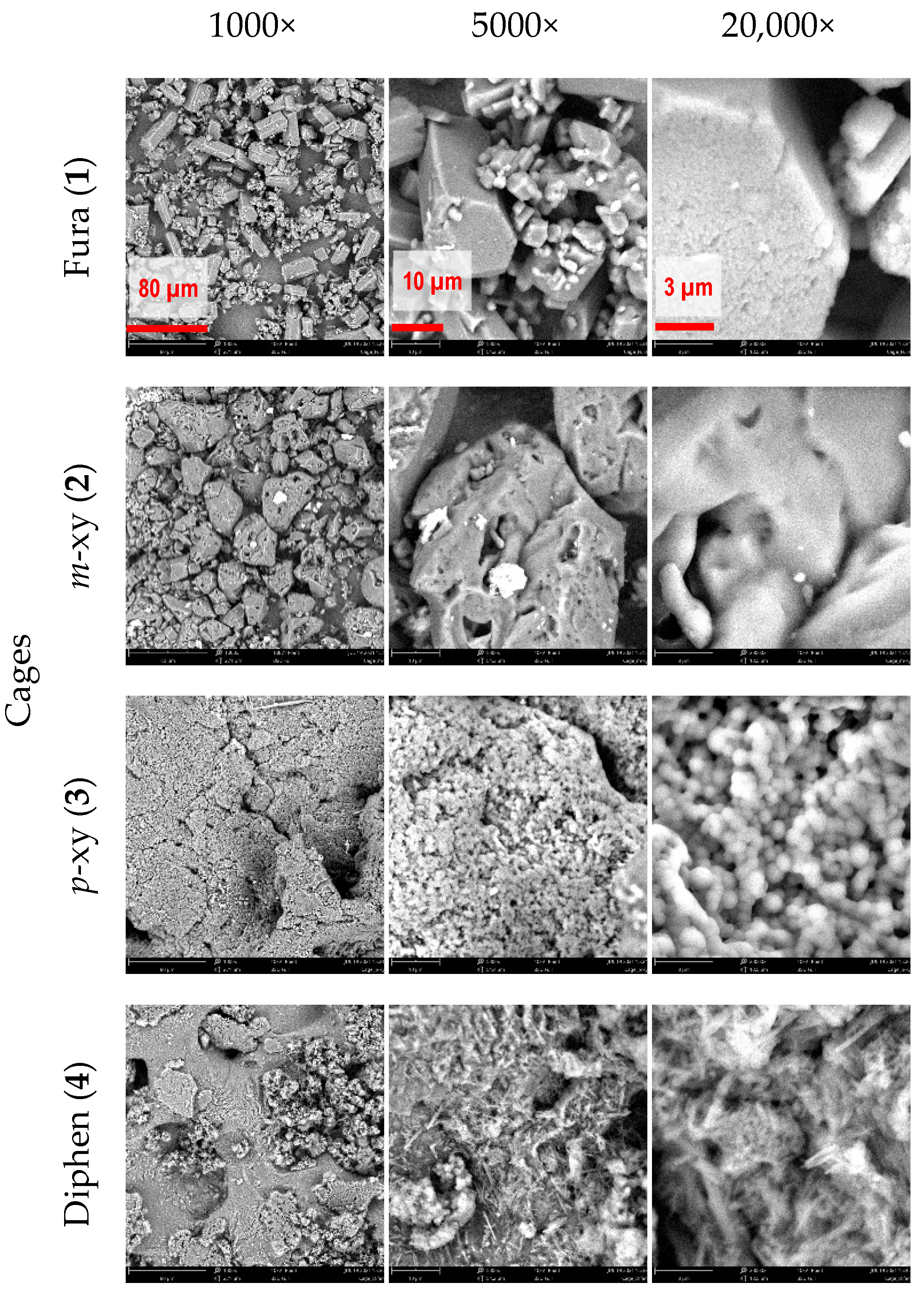Molecules 26 05557 g004 Molecules 26 05557 g004