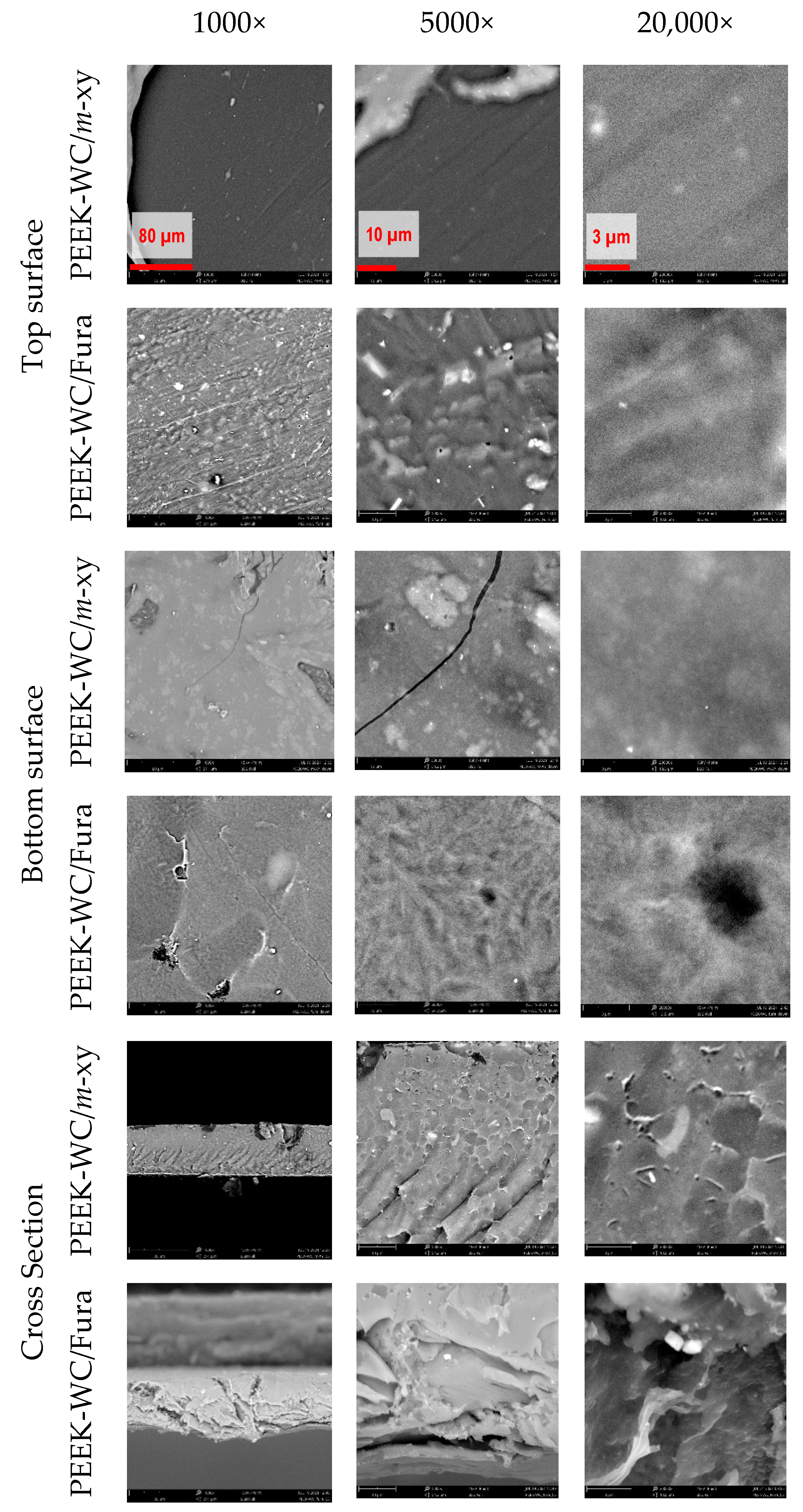 Molecules 26 05557 g005 Molecules 26 05557 g005