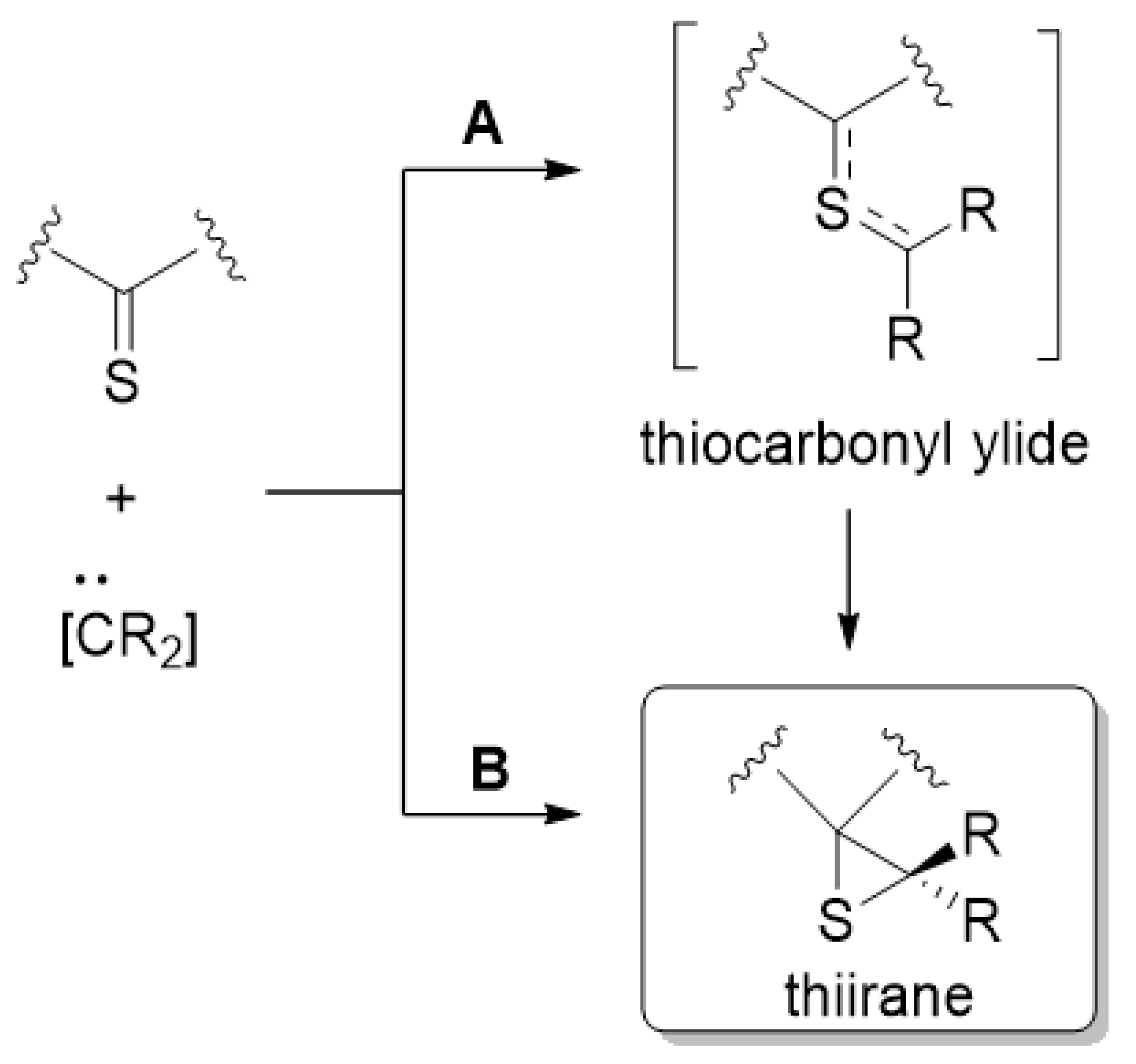 Molecules 26 05562 sch003 550
