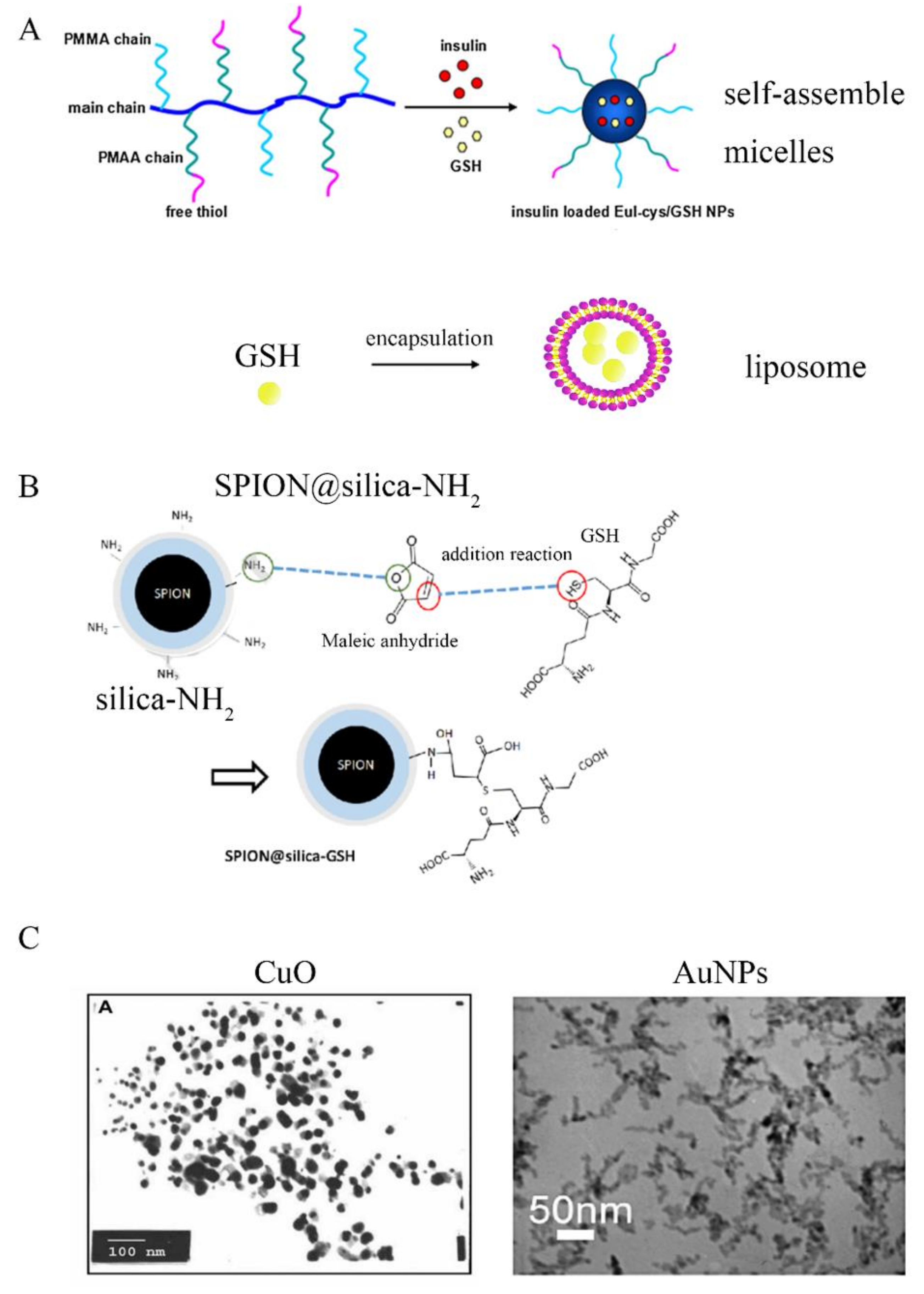 Molecules 26 05567 g002