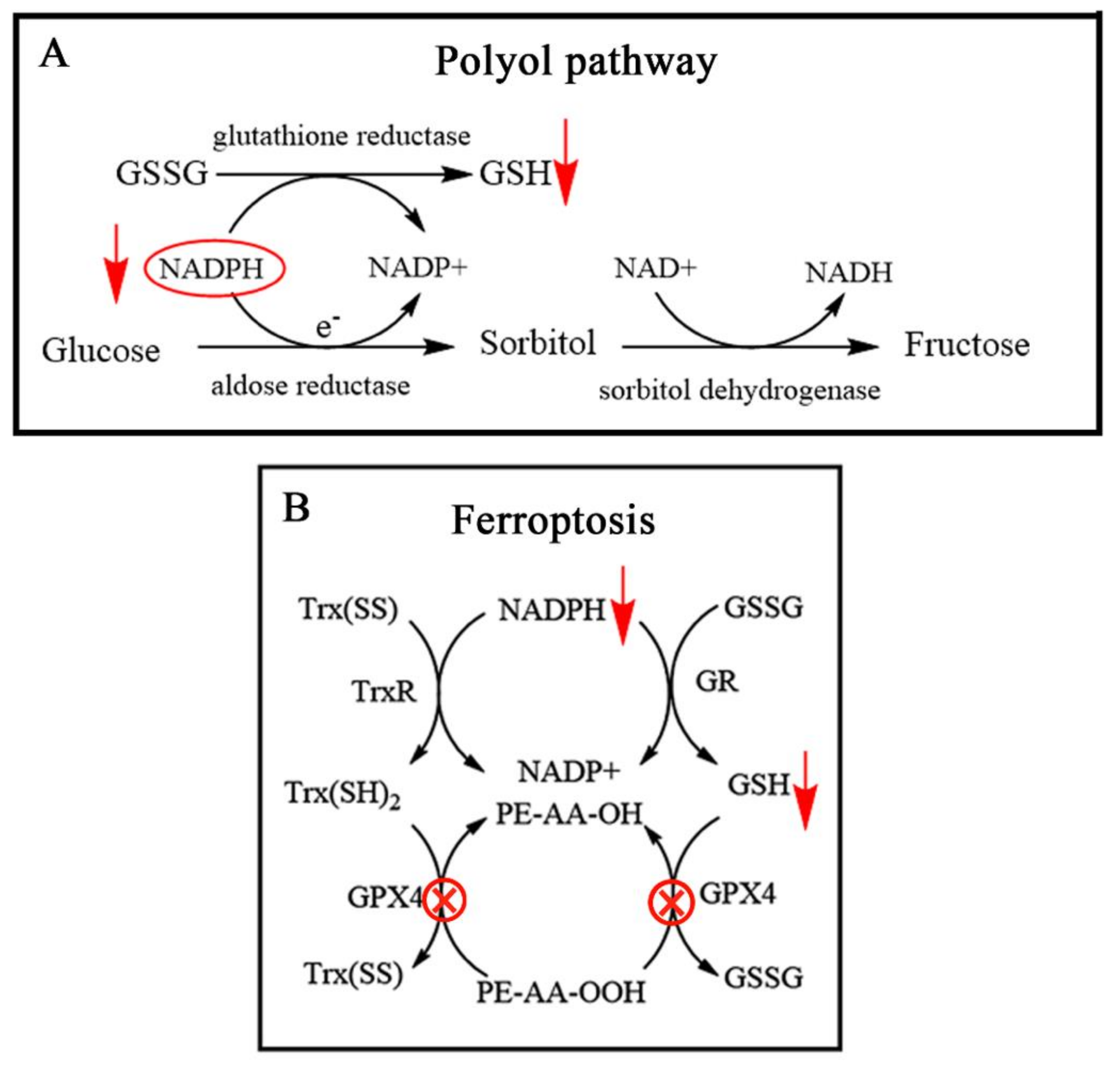 Molecules 26 05567 g003