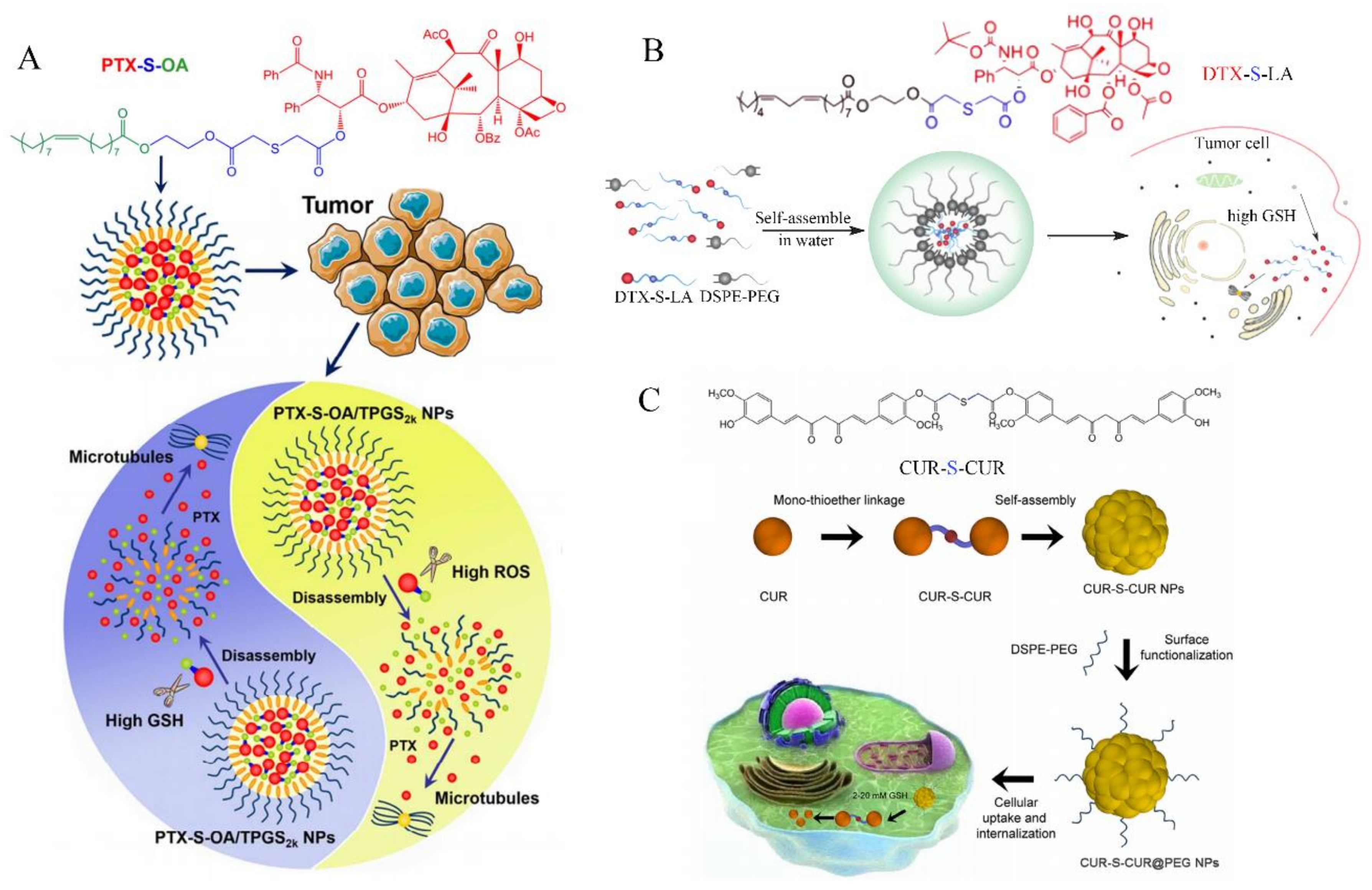 Molecules 26 05567 g005