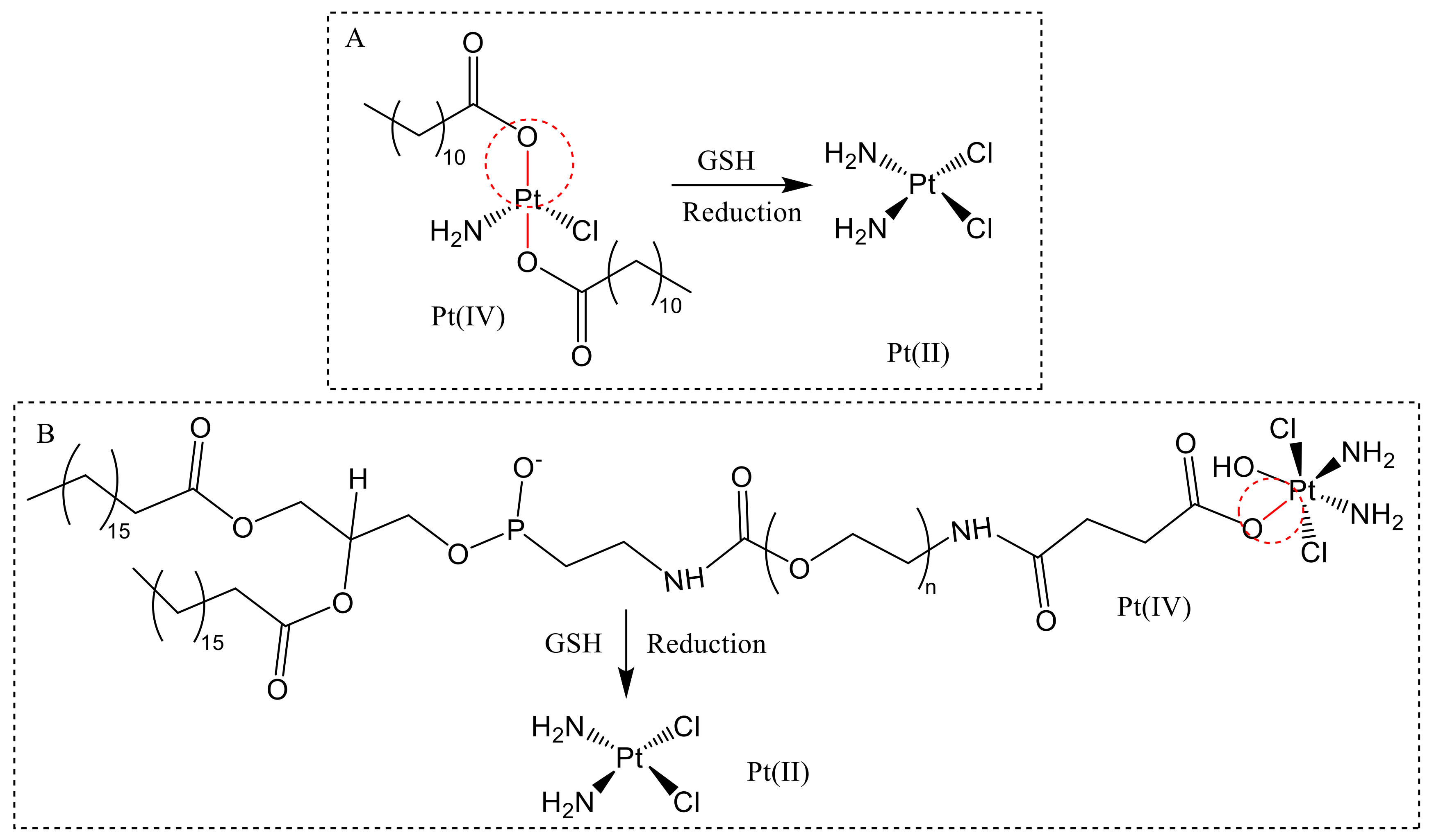 Molecules 26 05567 g006