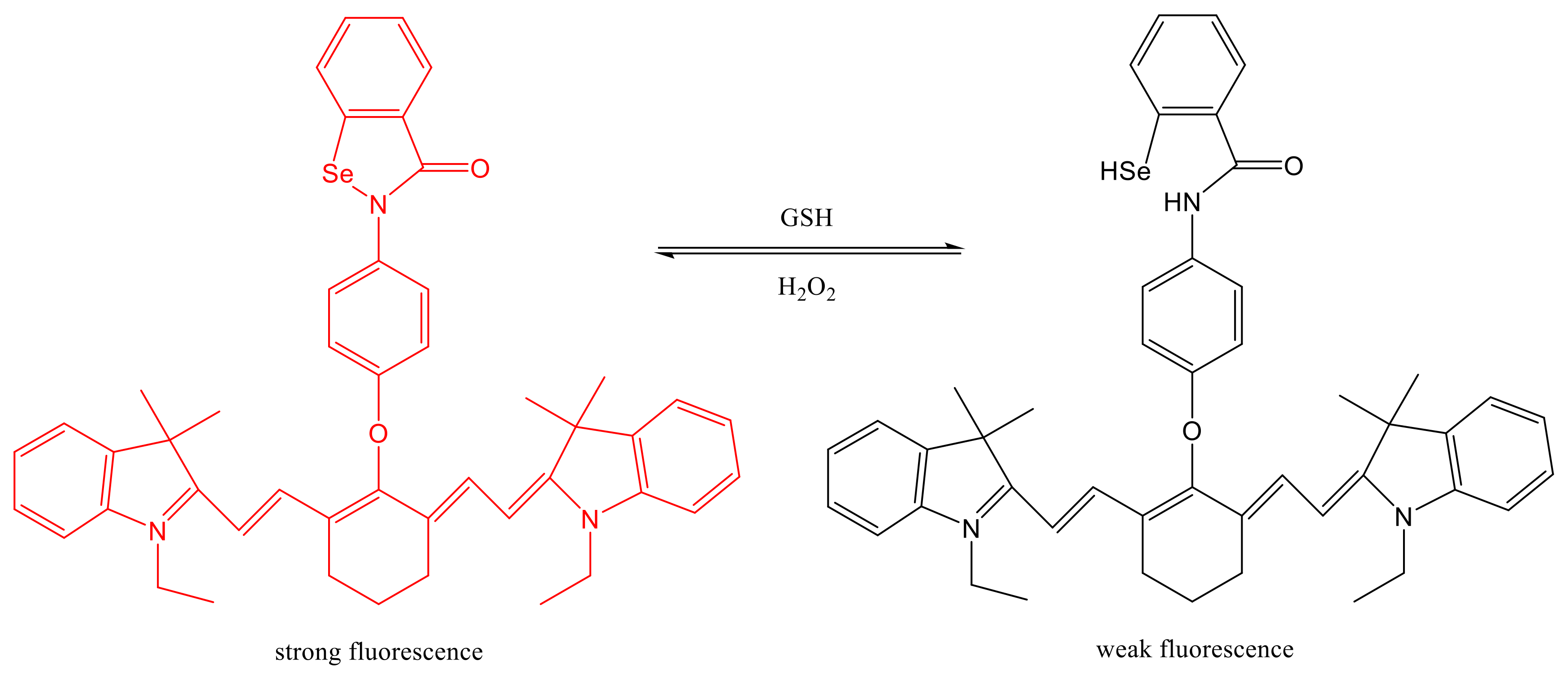 Molecules 26 05567 g007