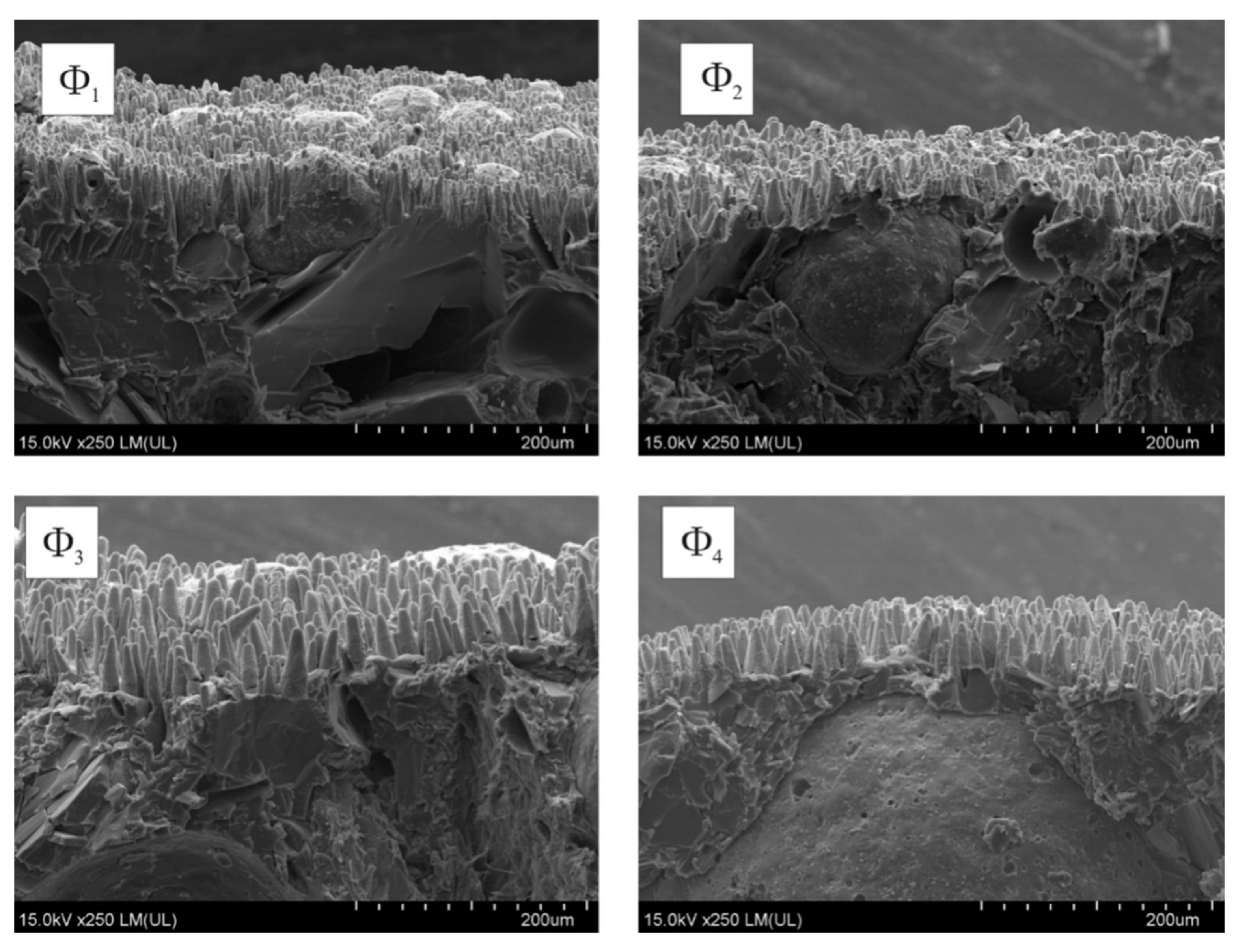 Molecules 26 05571 g008 550