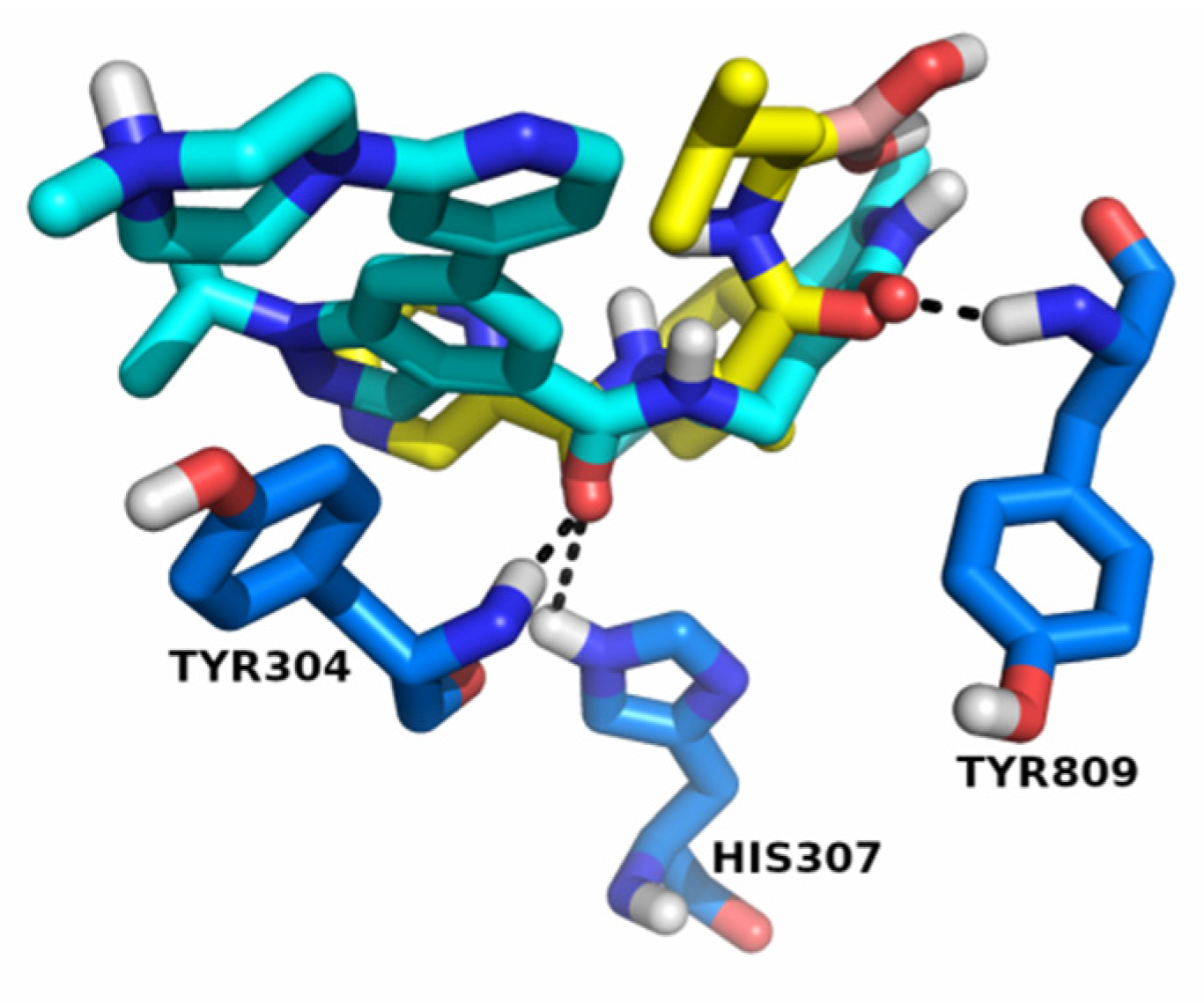 Molecules 26 05574 g008 550
