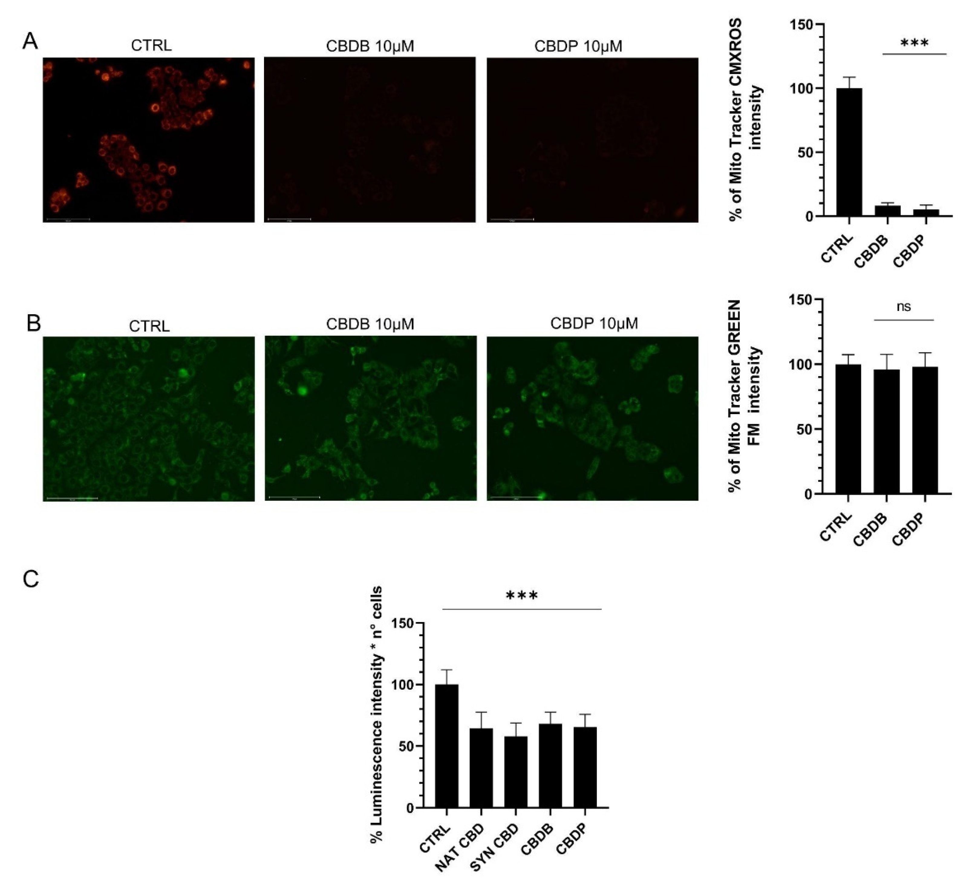 Molecules 26 05576 g004
