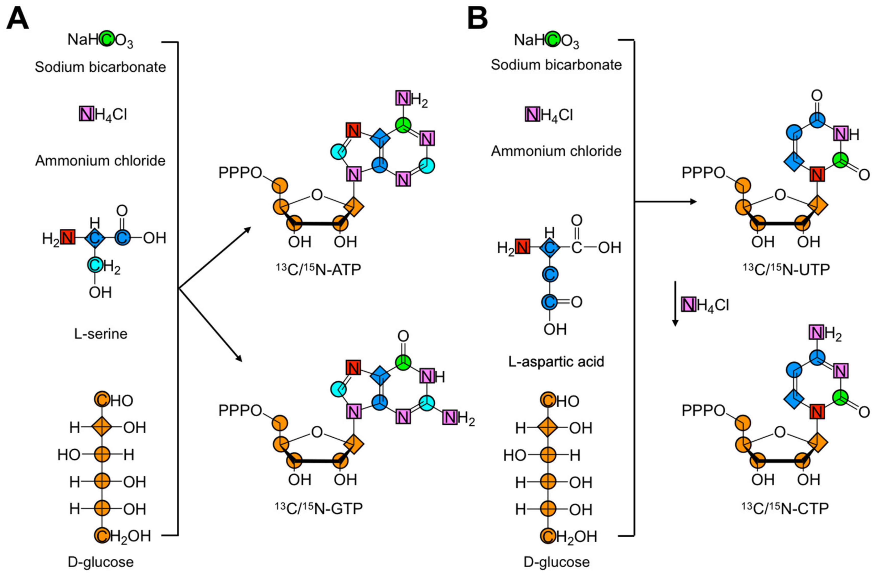 Molecules 26 05581 g003 Molecules 26 05581 g003
