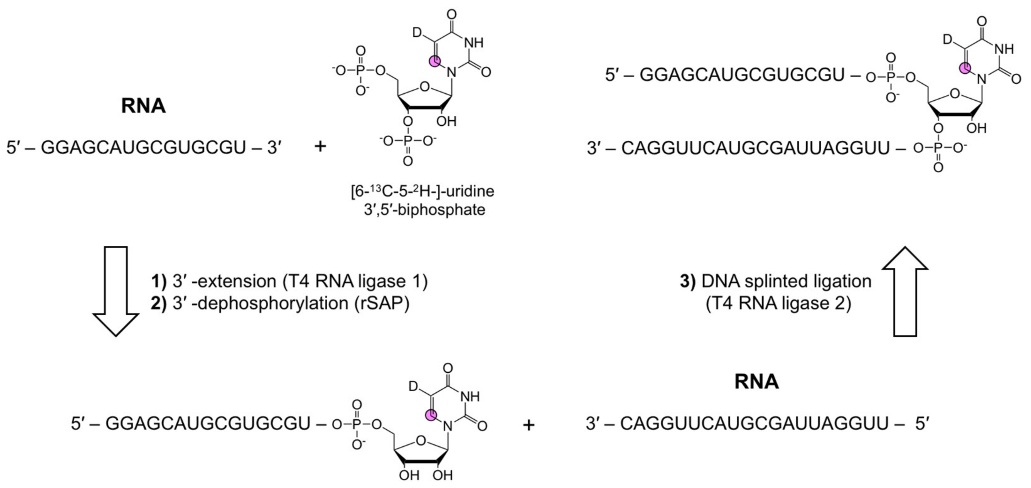 Molecules 26 05581 g007 Molecules 26 05581 g007