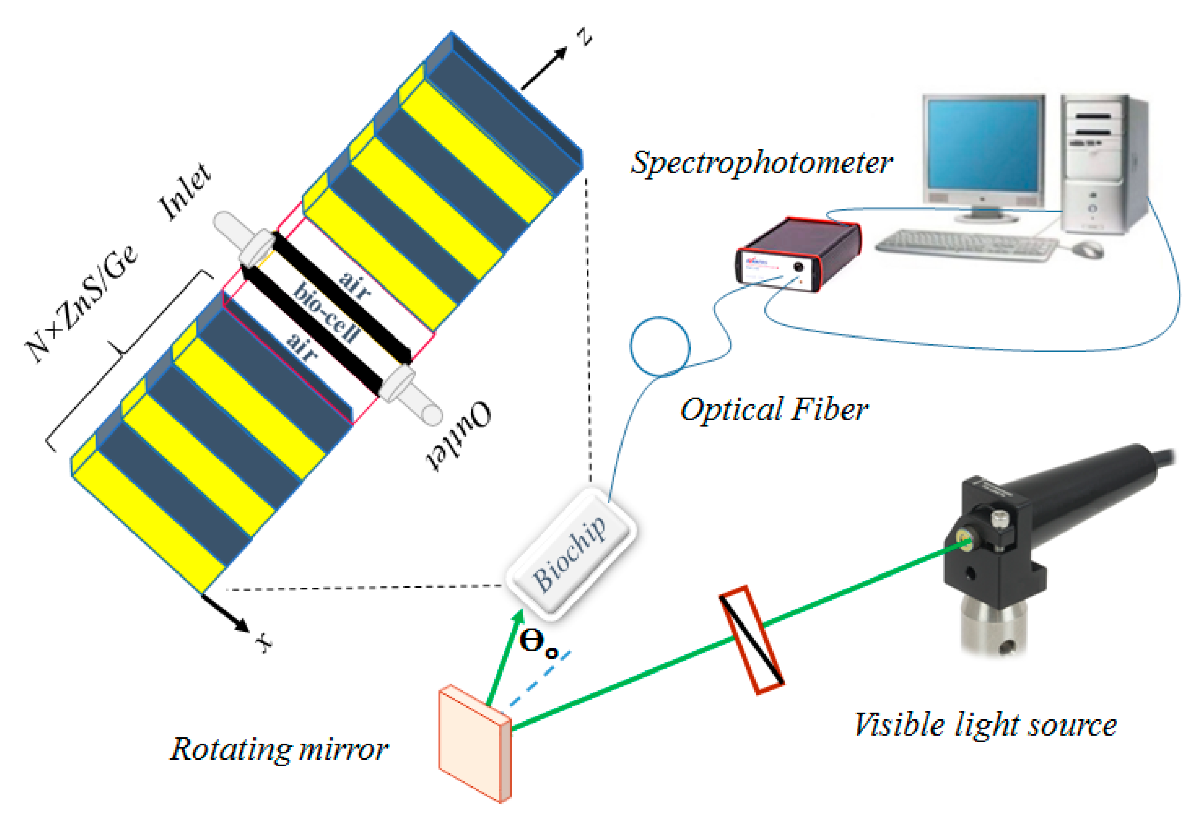 Molecules 26 05585 g001