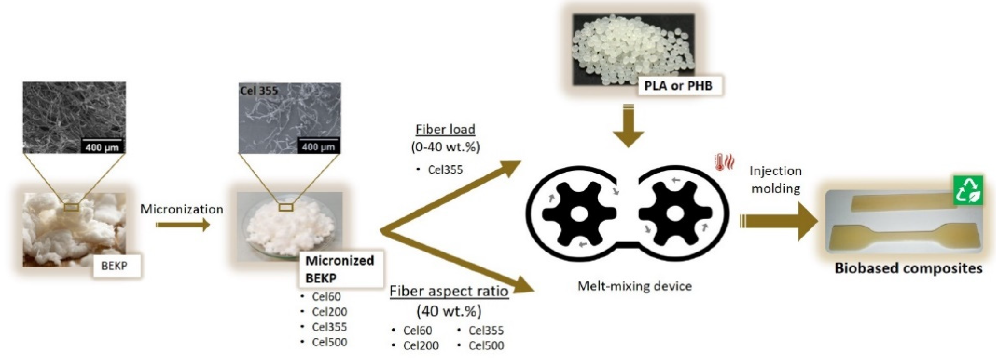 Molecules 26 05594 g001