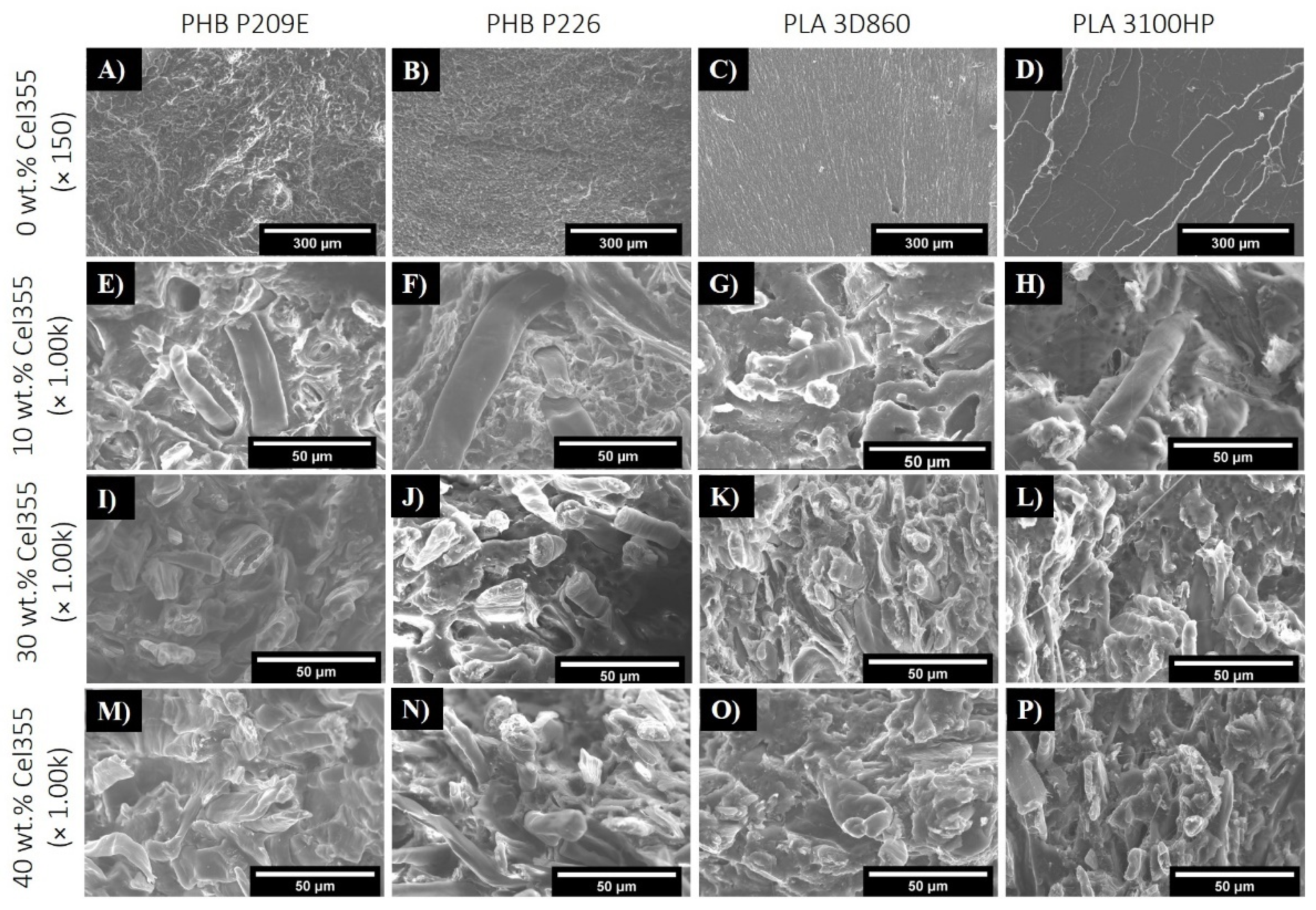 Molecules 26 05594 g003
