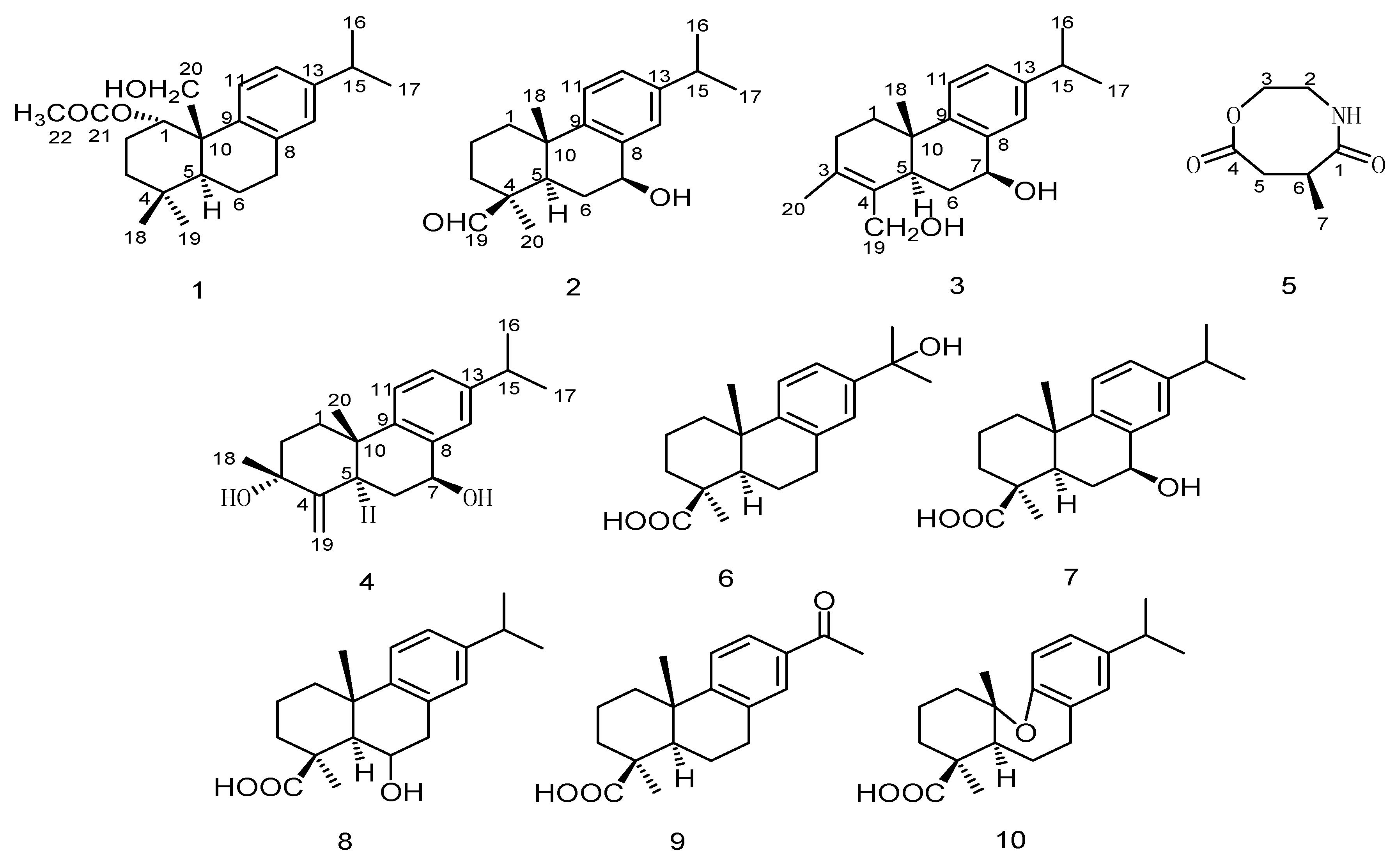 Molecules 26 05603 g001