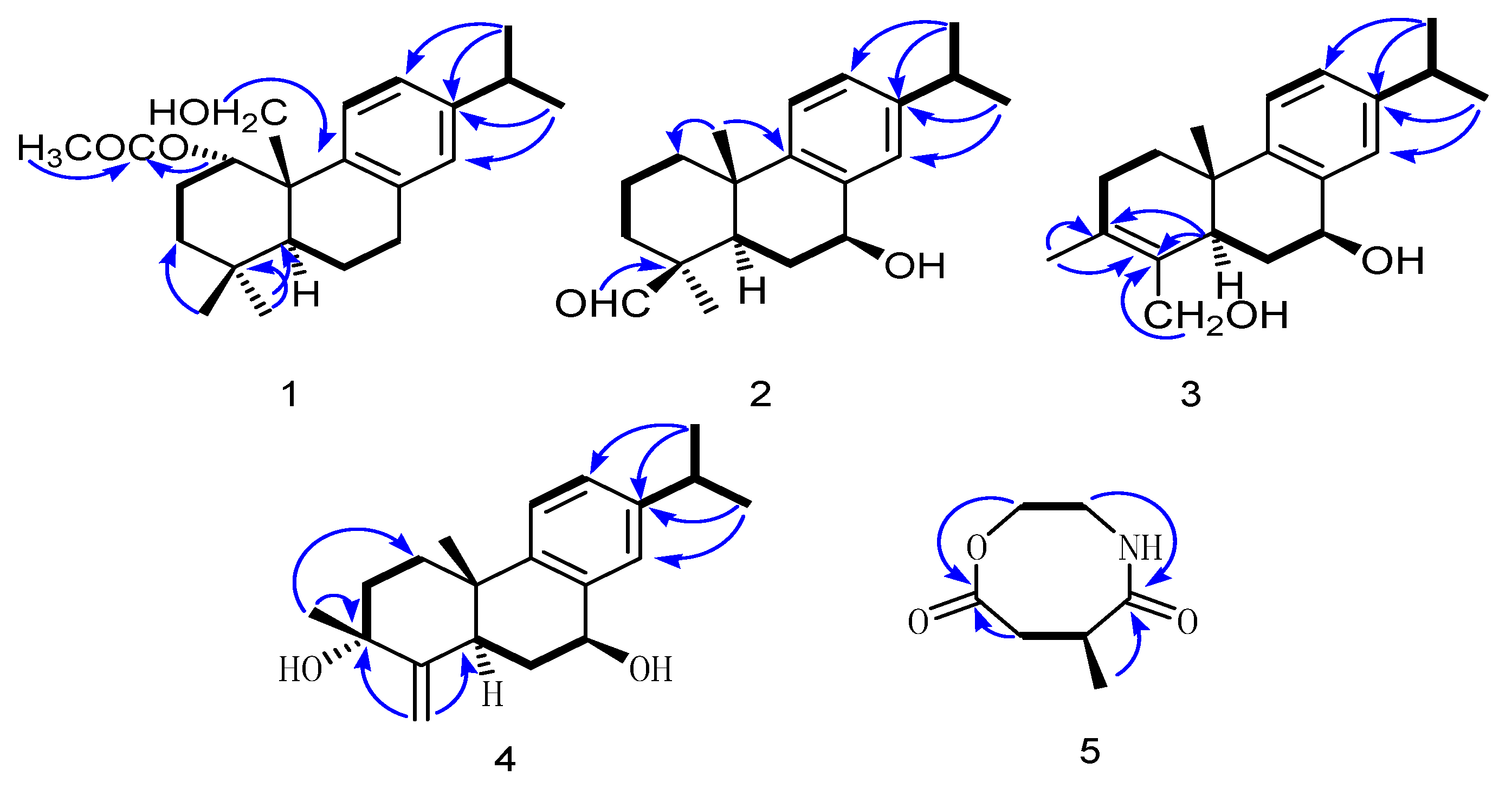 Molecules 26 05603 g002