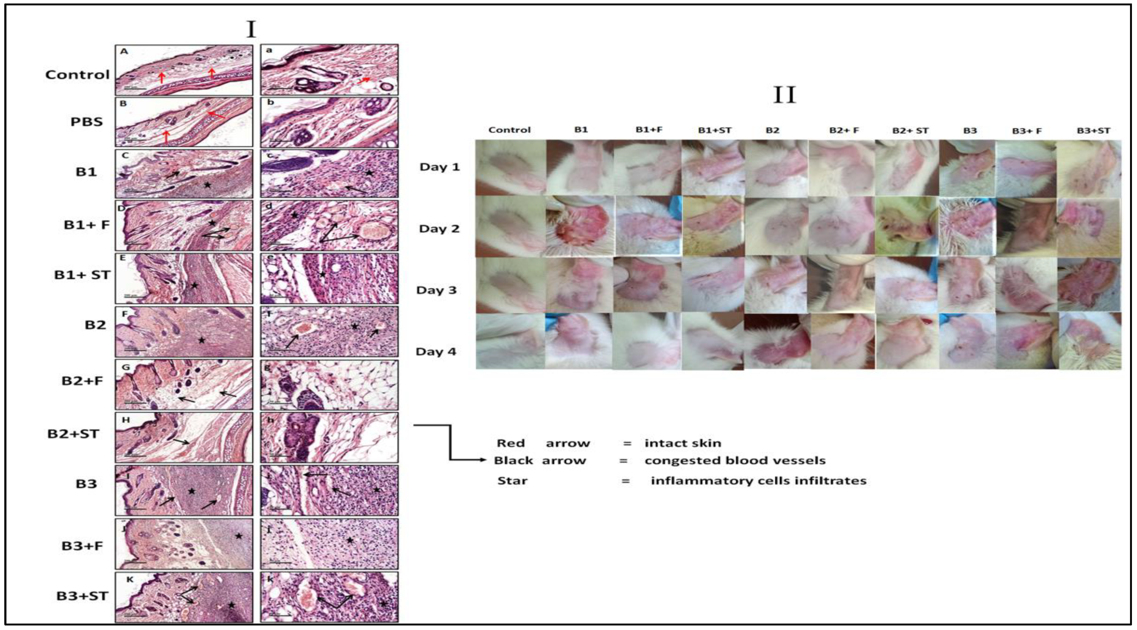 Molecules 26 05608 g008