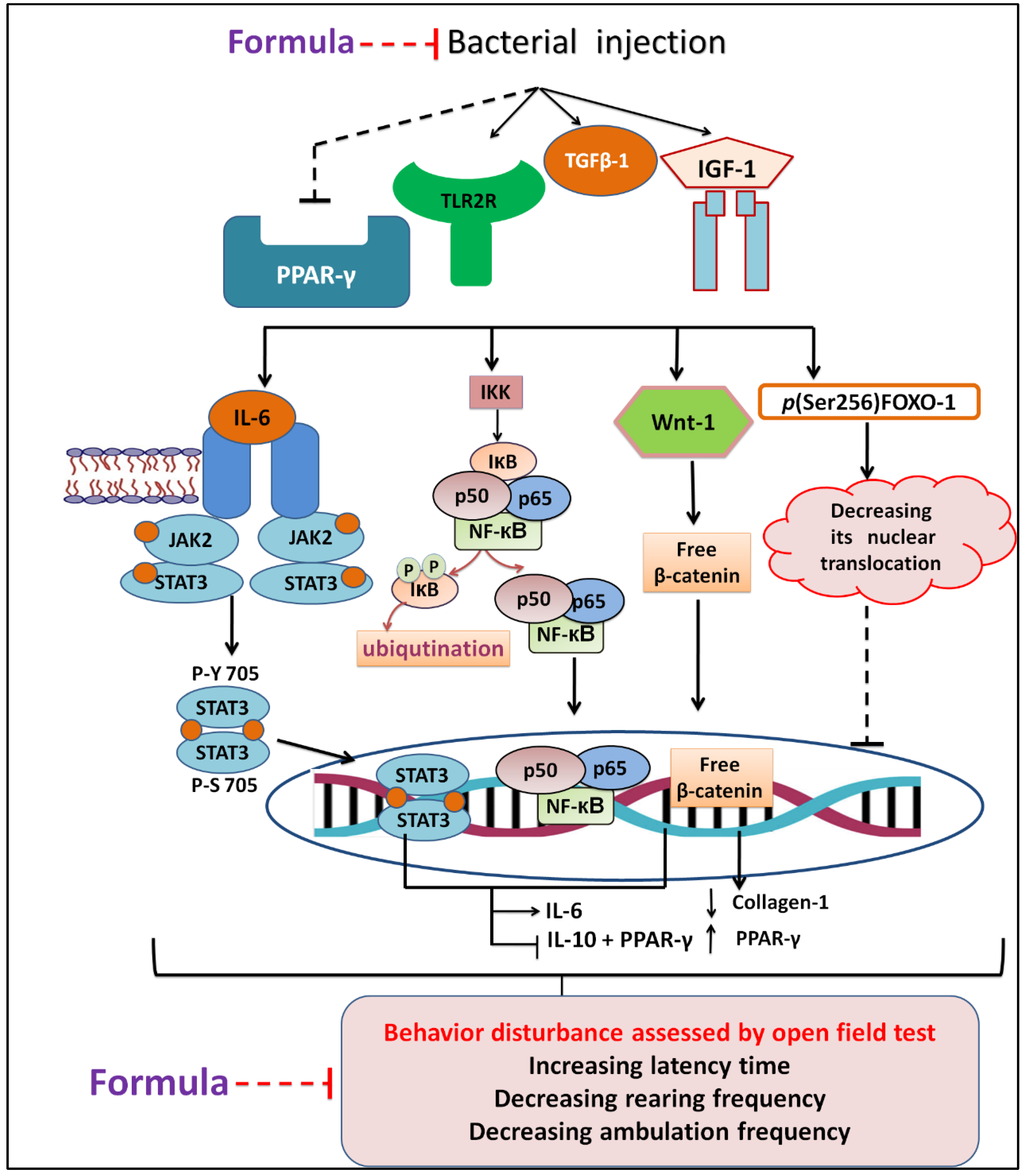 Molecules 26 05608 g009