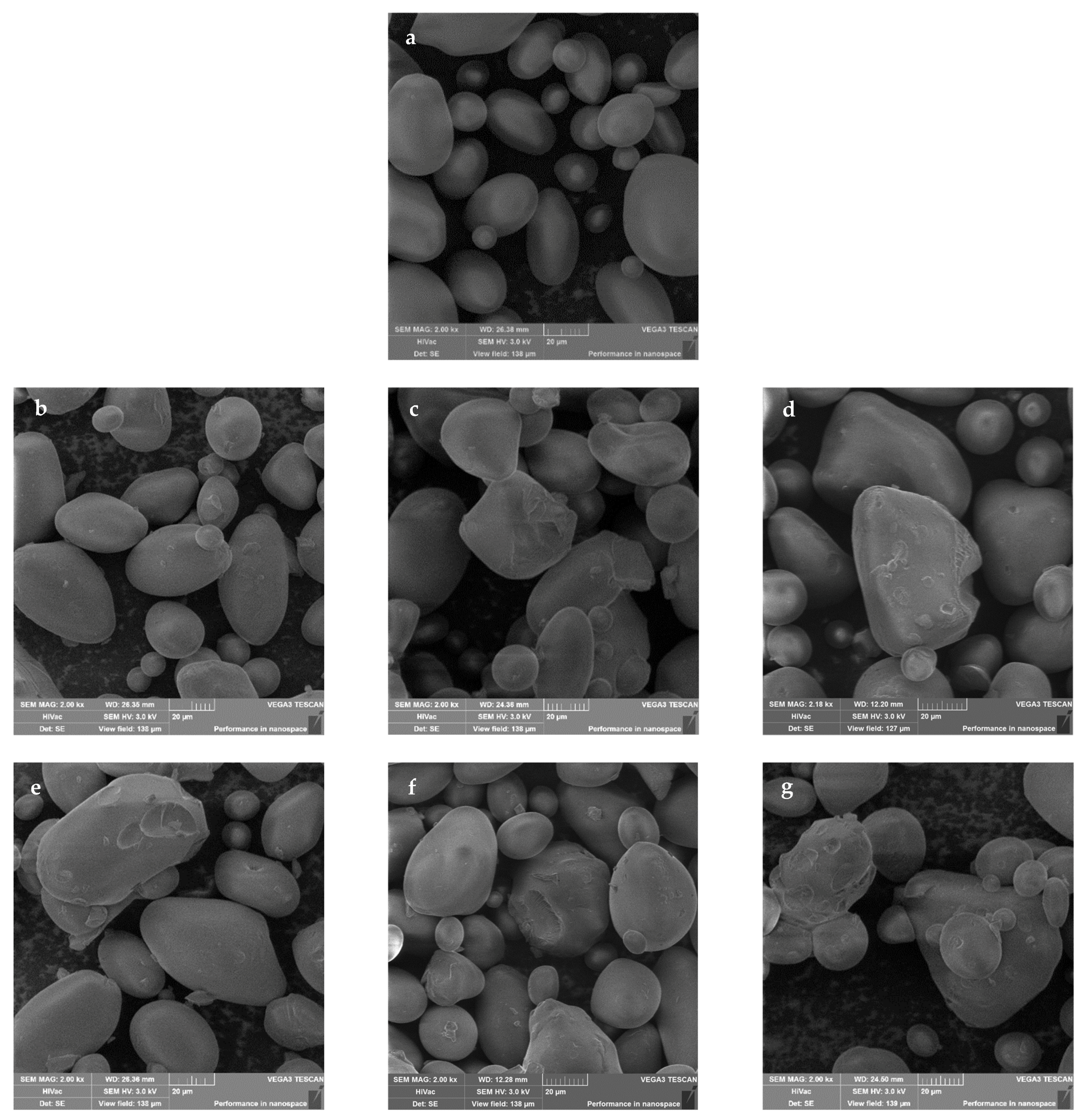 Molecules 26 05619 g005