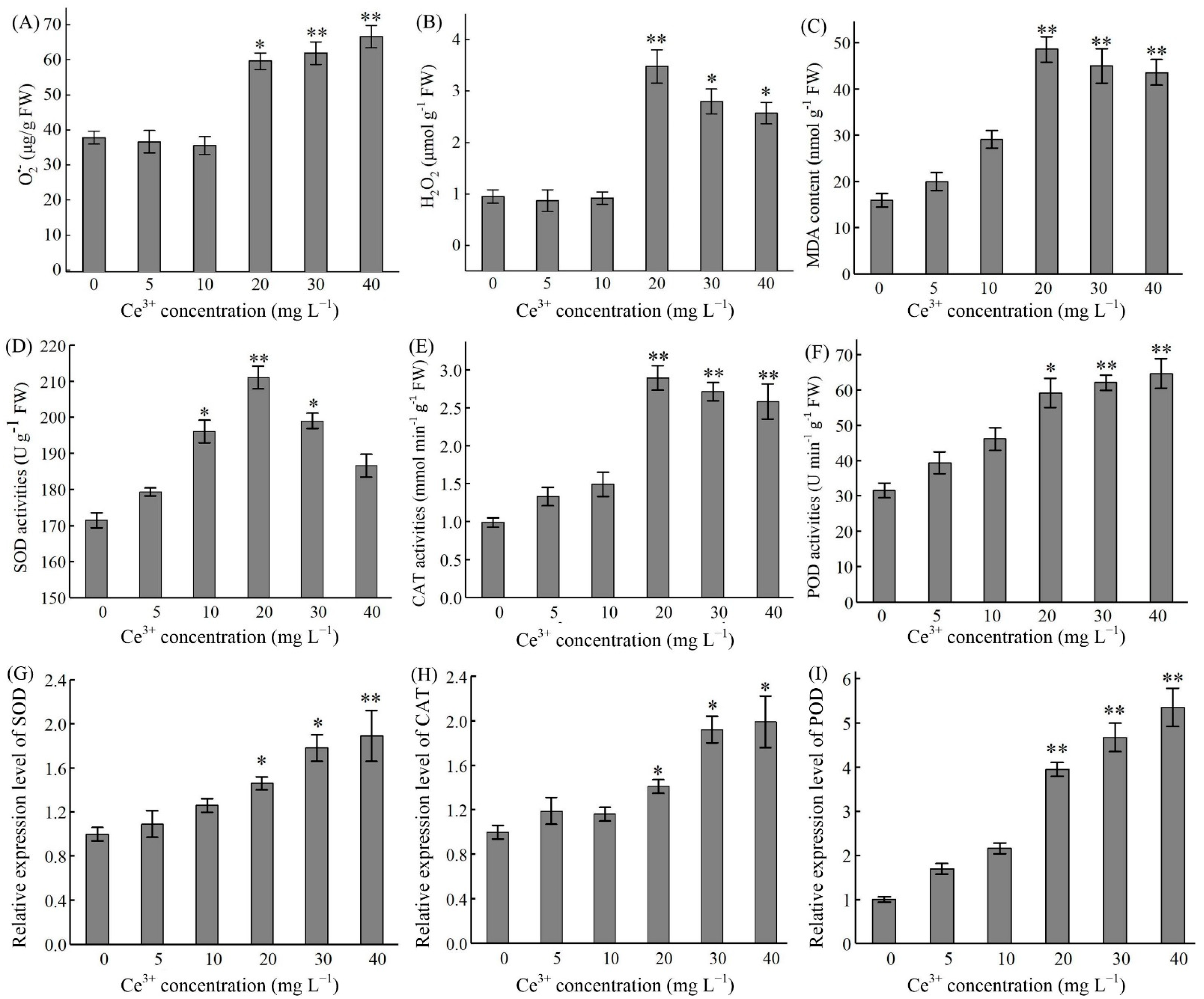 Molecules 26 05623 g003