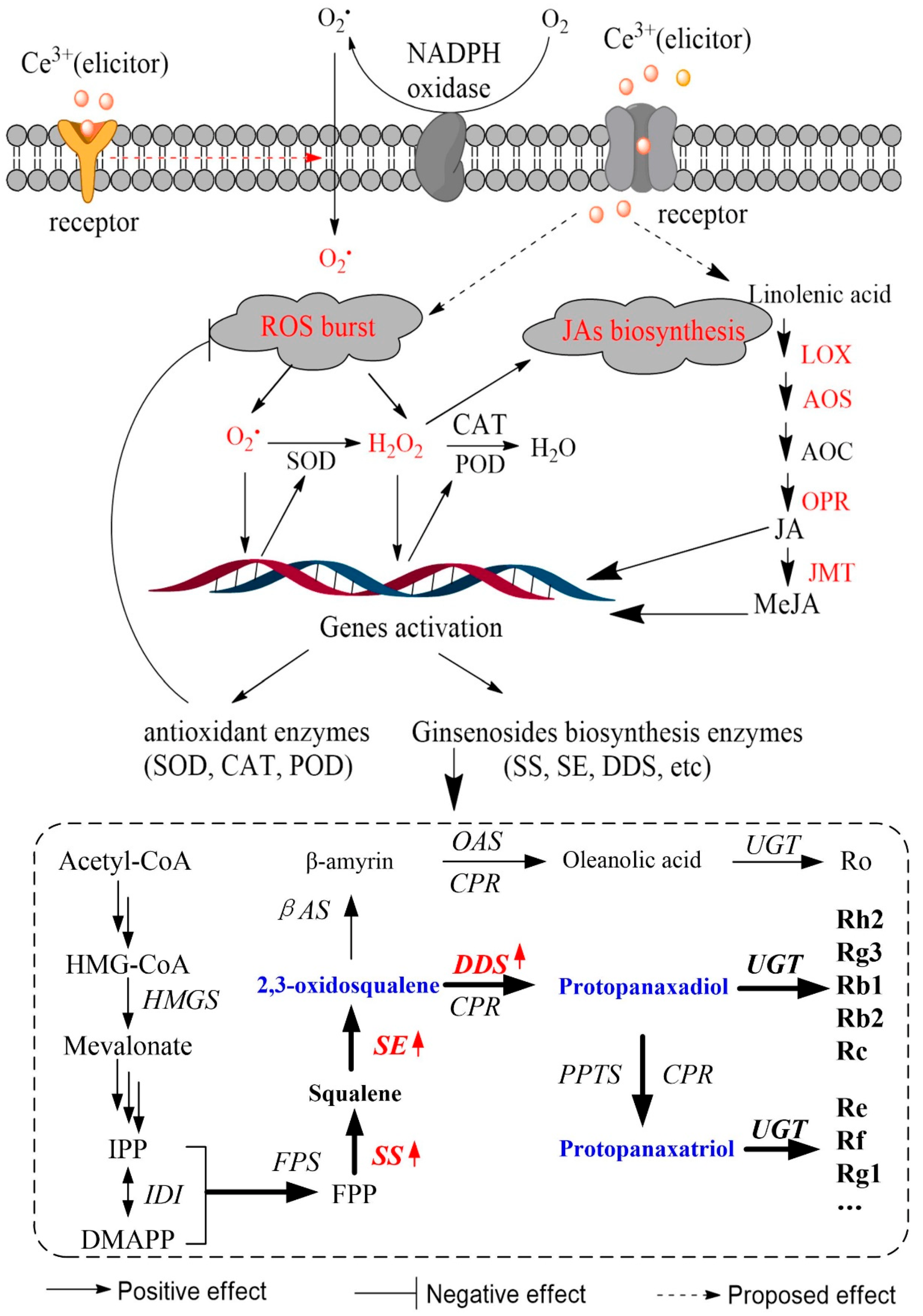 Molecules 26 05623 g006