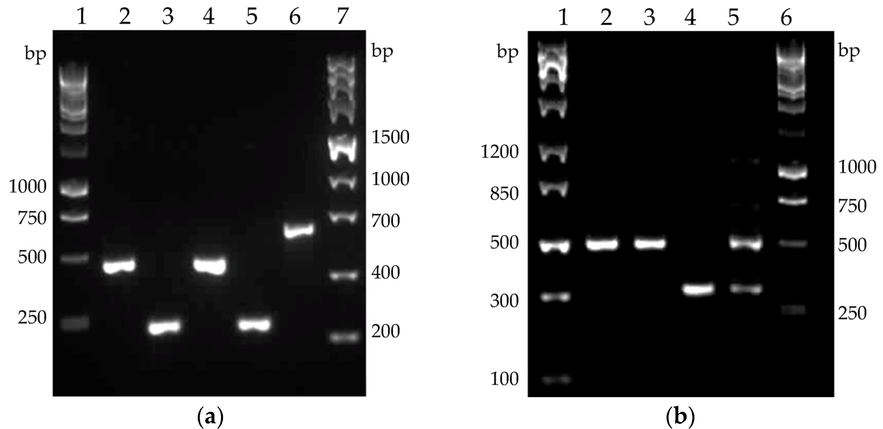 Molecules 26 05625 g008
