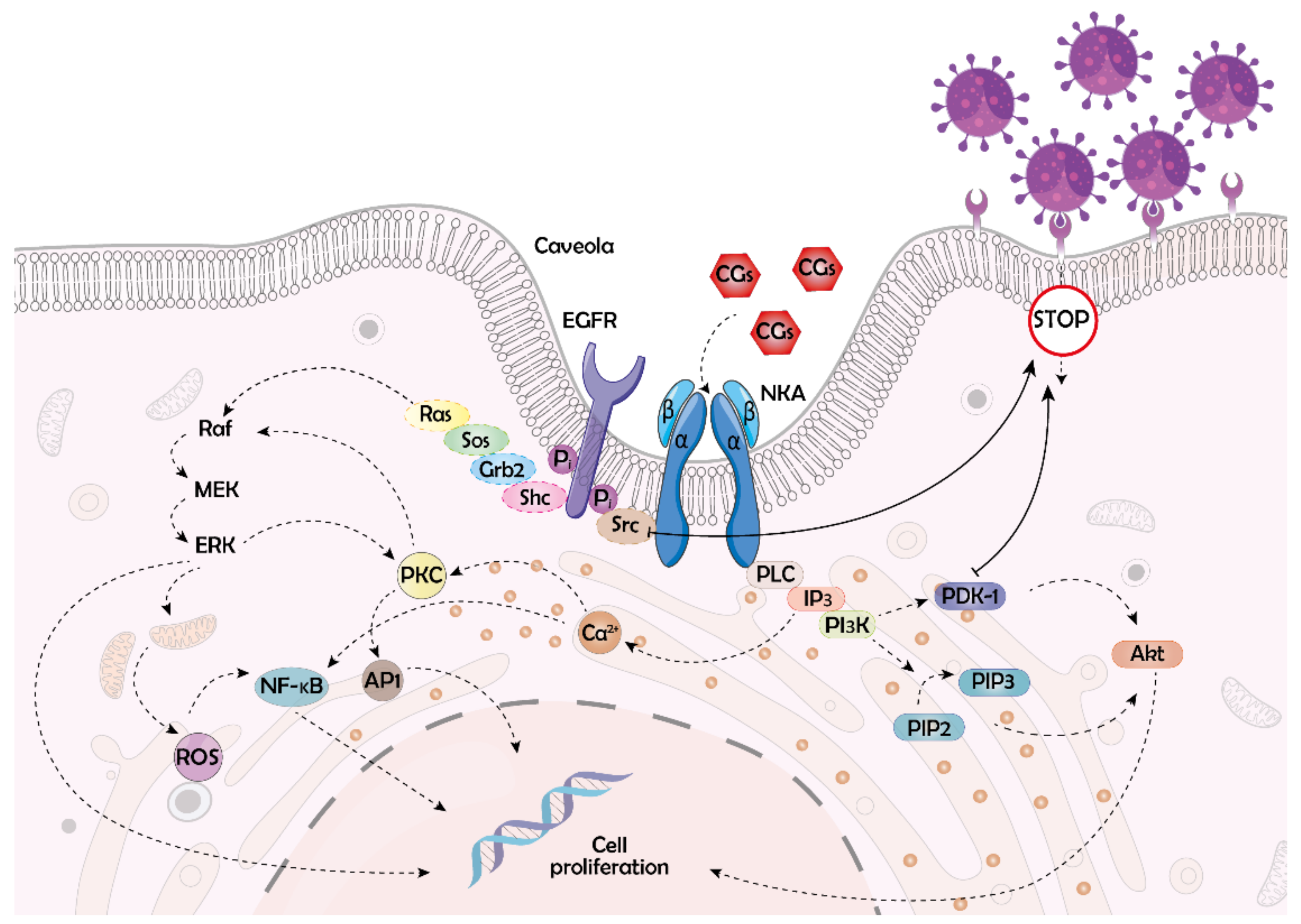 Molecules 26 05627 g003 550