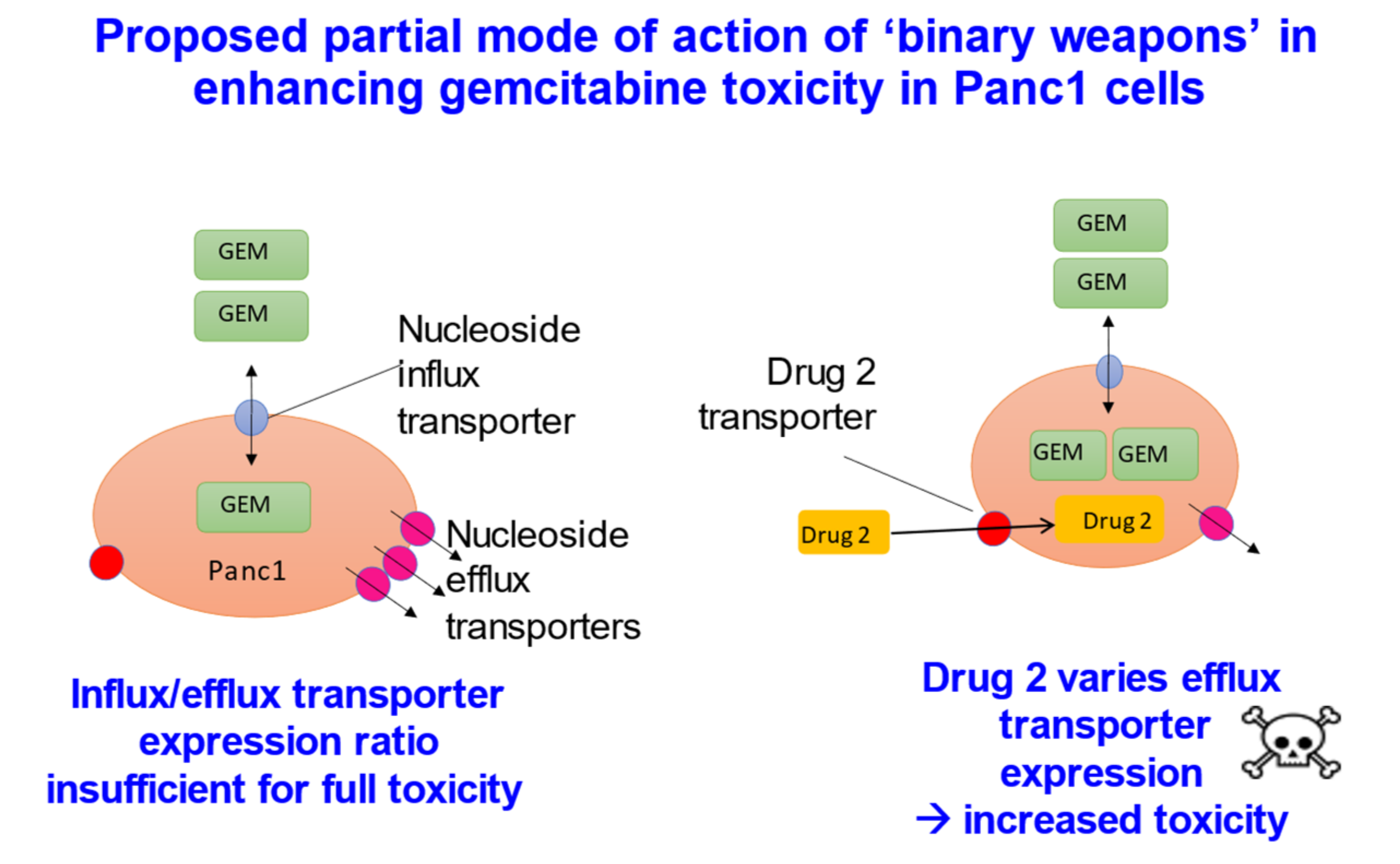 Frontiers Fatty acid uptake in Trypanosoma brucei: Host resources and possible mechanisms