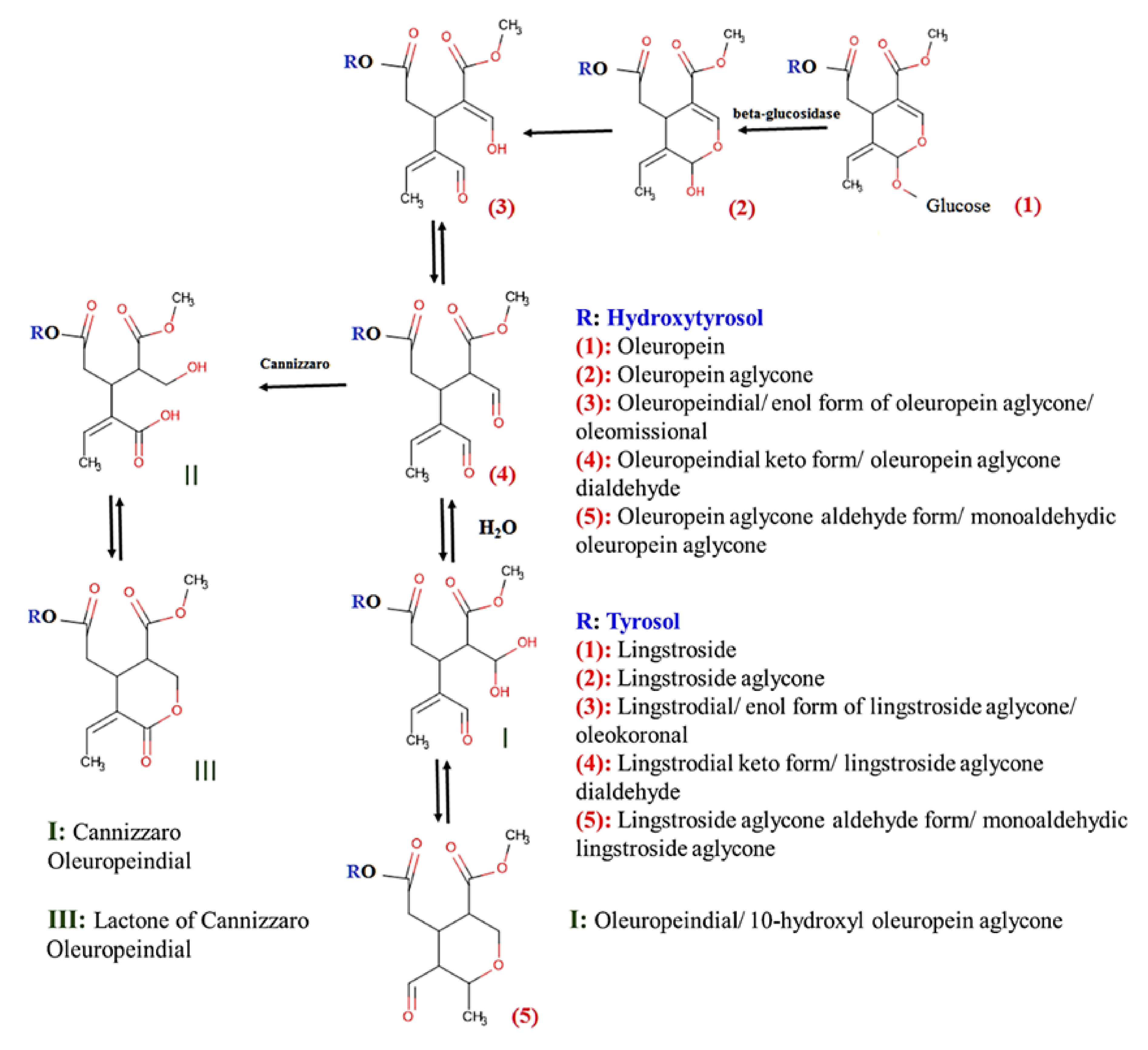 Molecules 26 05634 g001