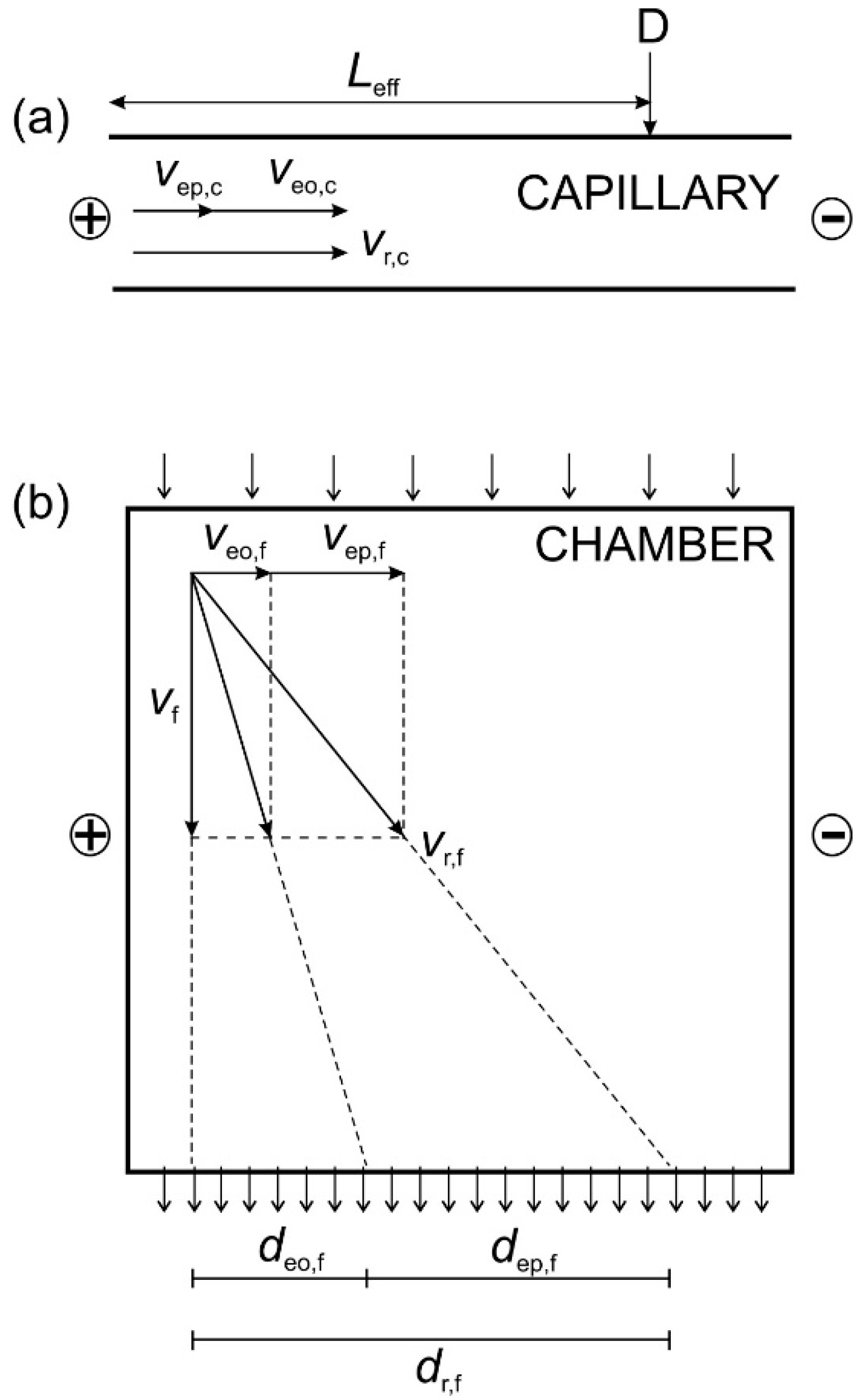 Molecules 26 05636 g003