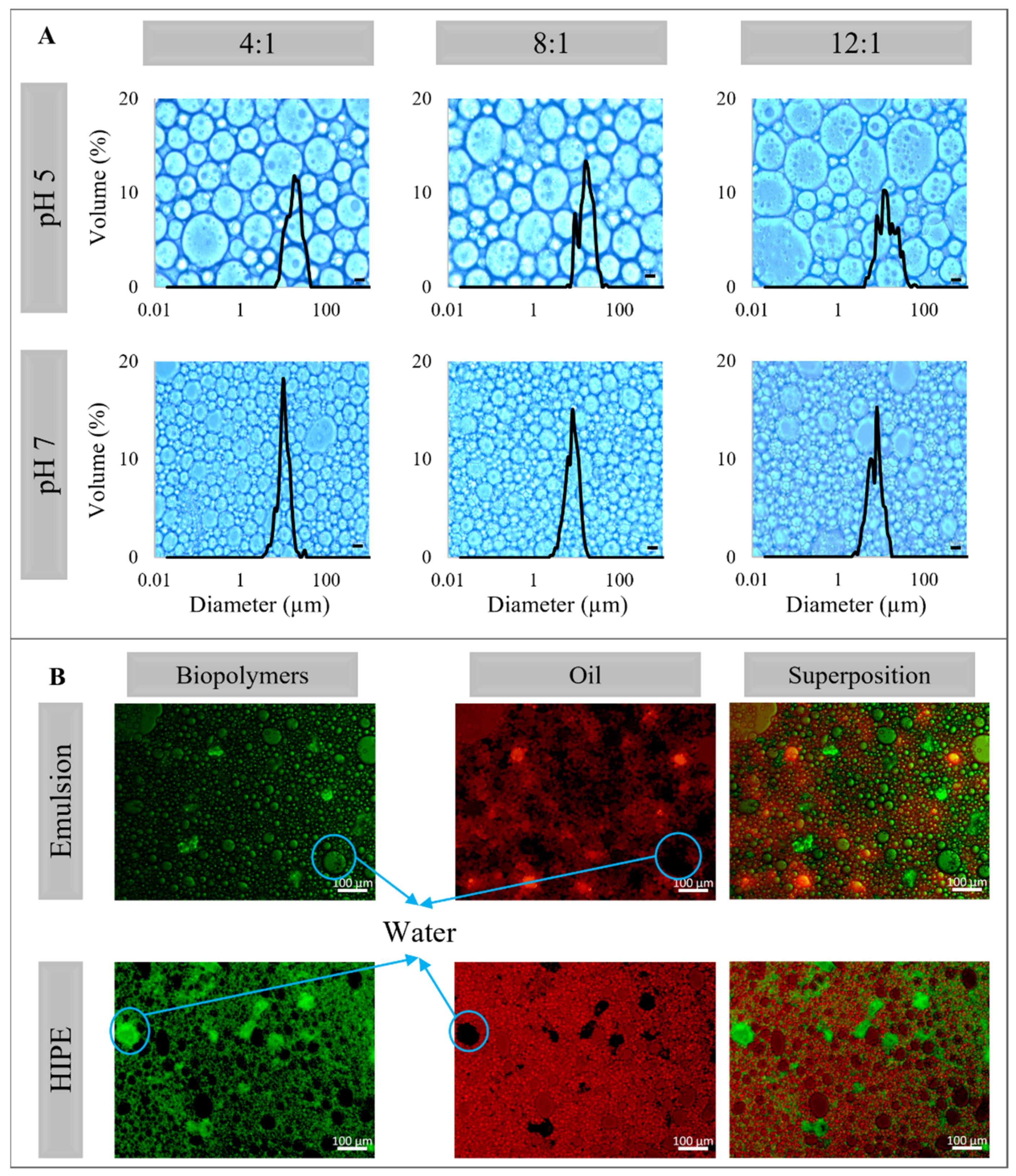 Molecules 26 05646 g004 550