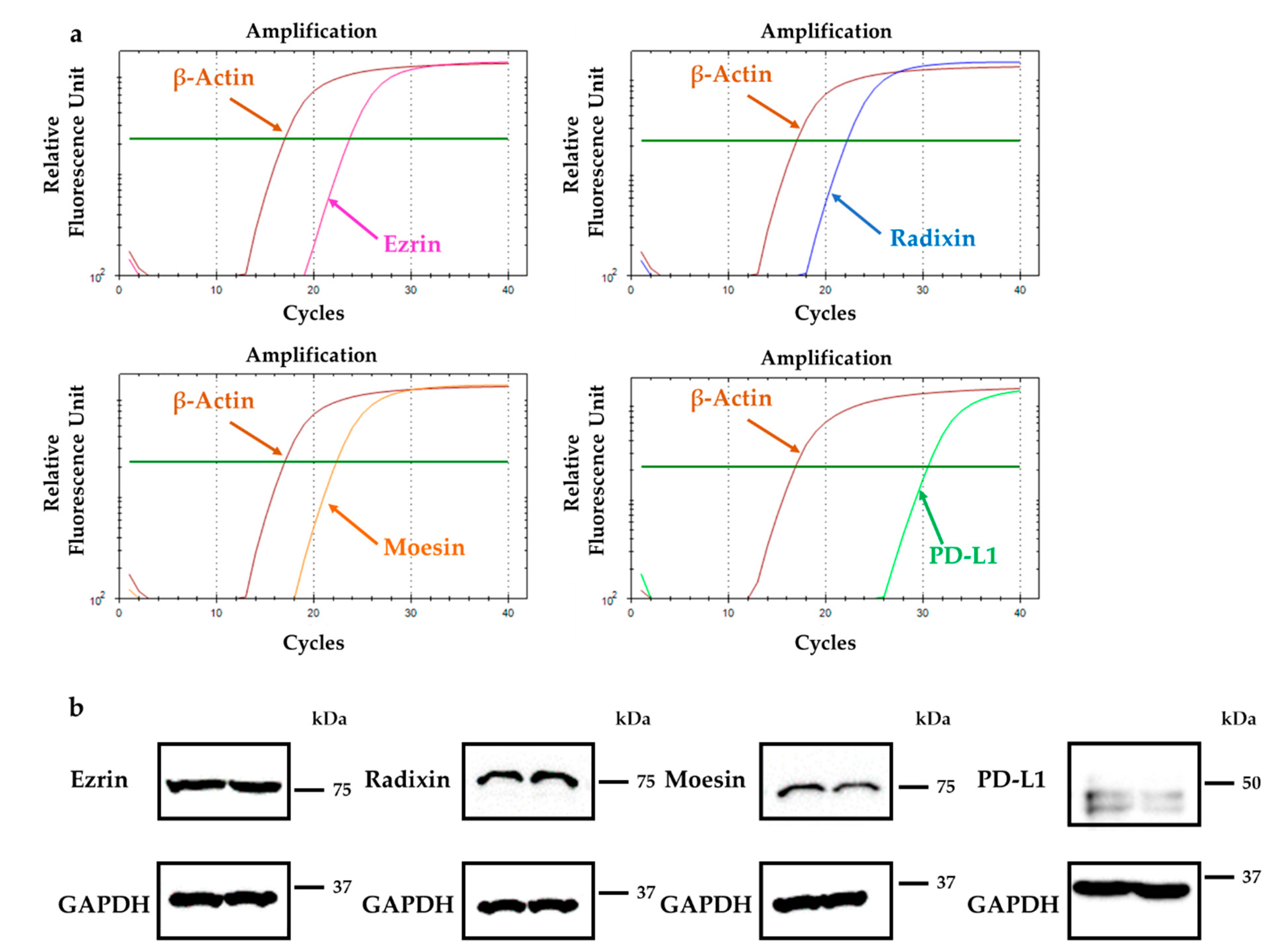 Molecules 26 05648 g001 Molecules 26 05648 g001