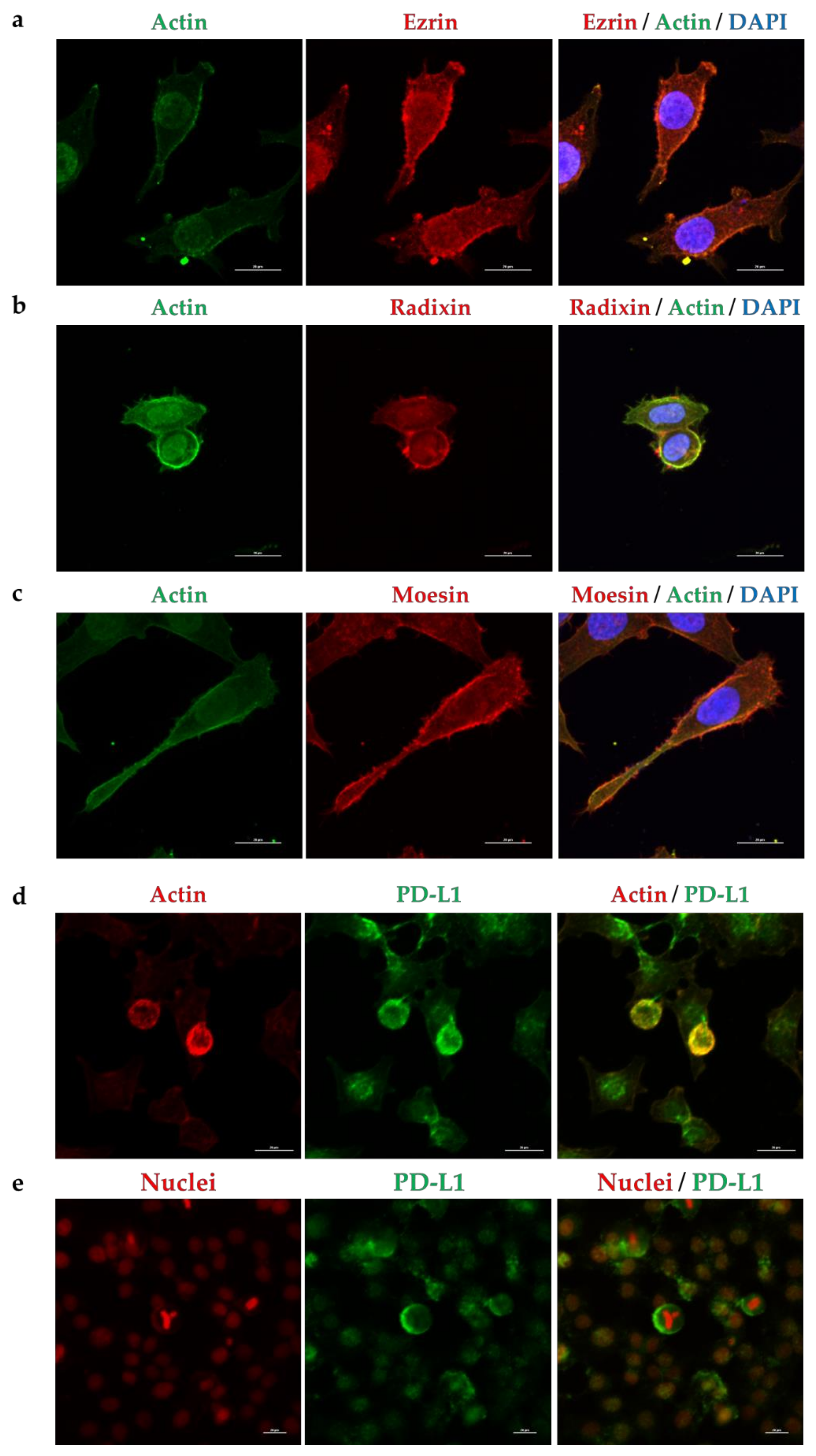 Molecules 26 05648 g002 Molecules 26 05648 g002