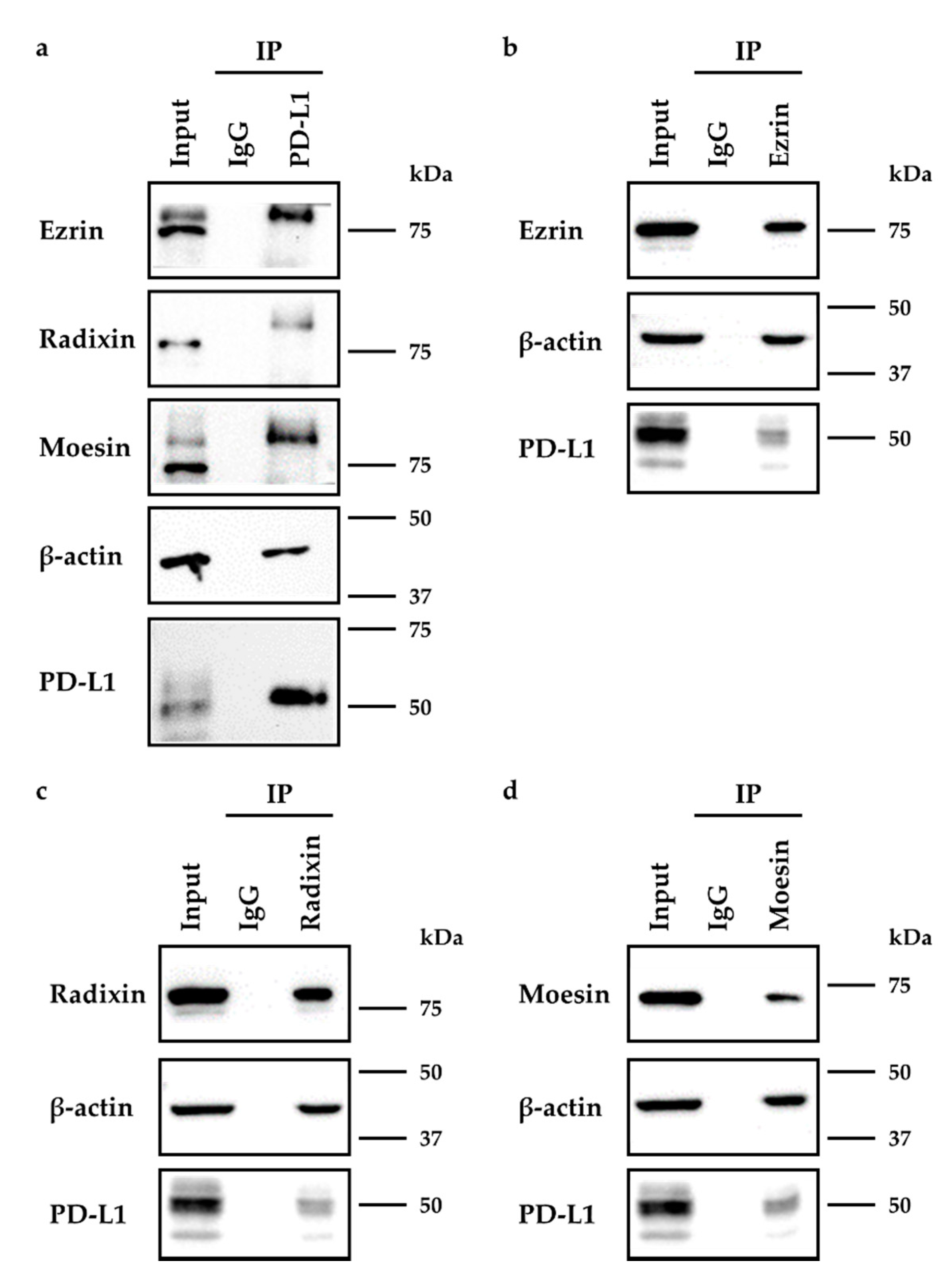 Molecules 26 05648 g004 Molecules 26 05648 g004