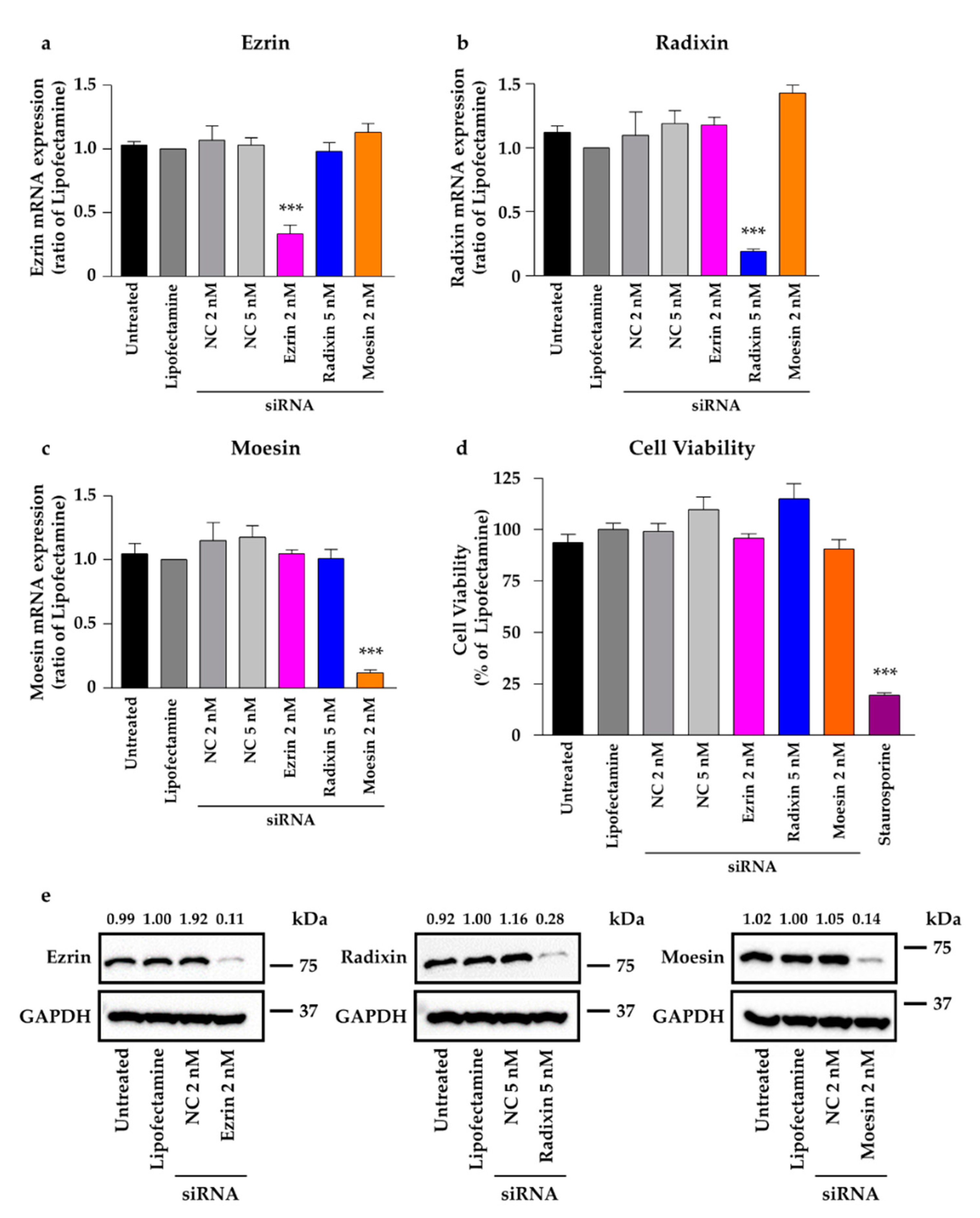 Molecules 26 05648 g005 Molecules 26 05648 g005