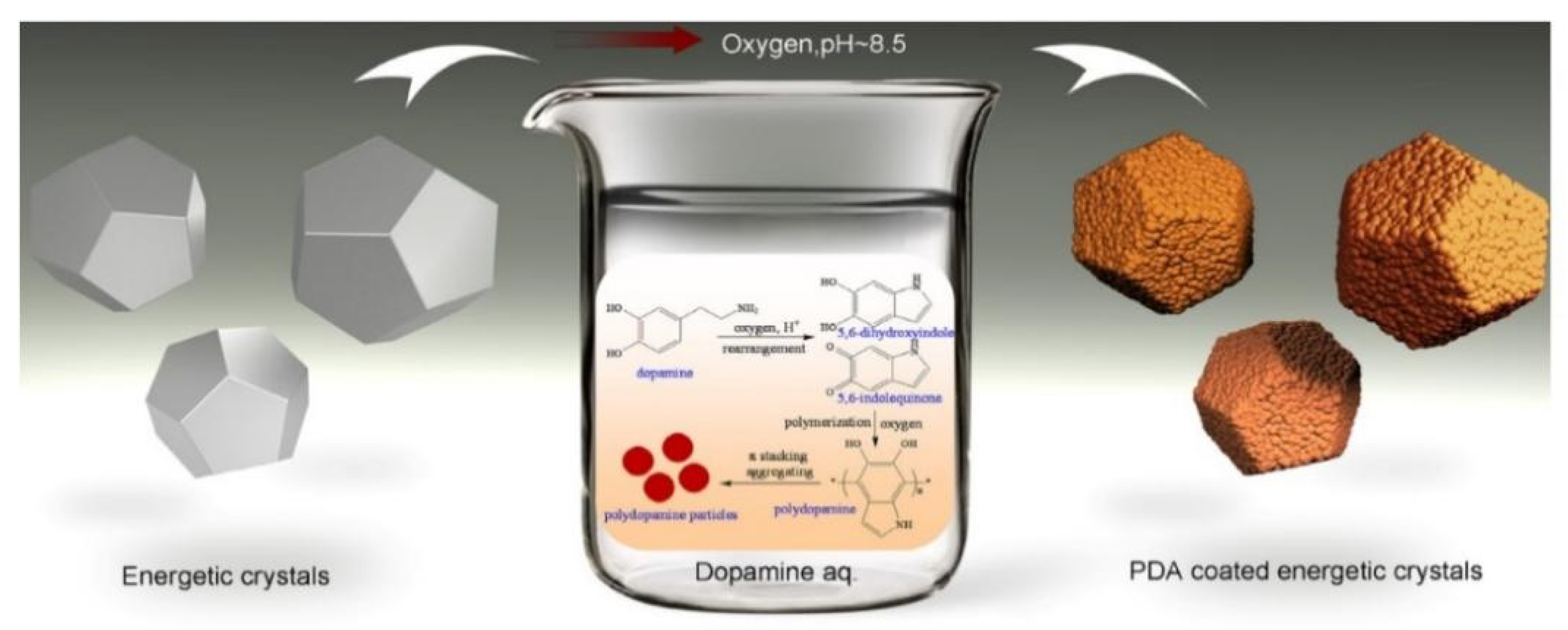 Molecules 26 05650 g005 550