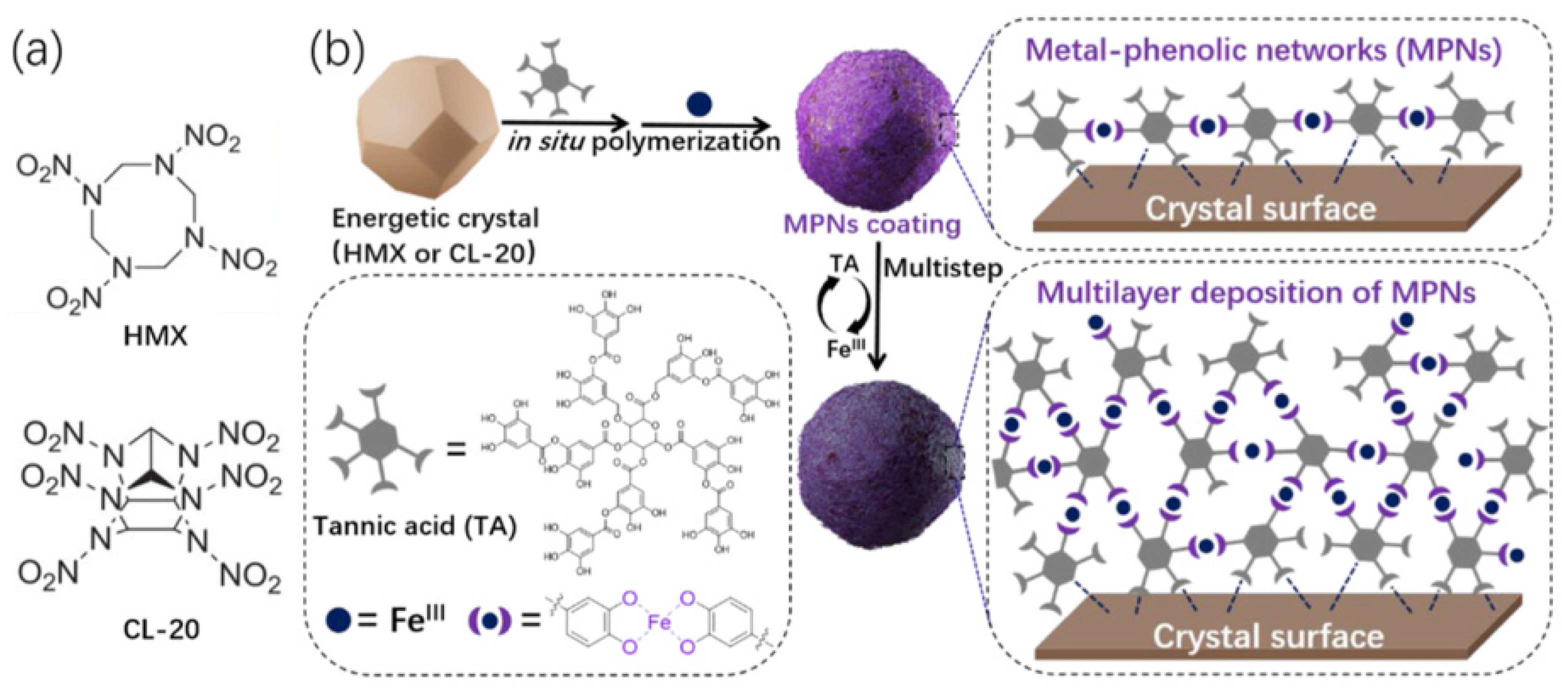 Molecules 26 05650 g012 550