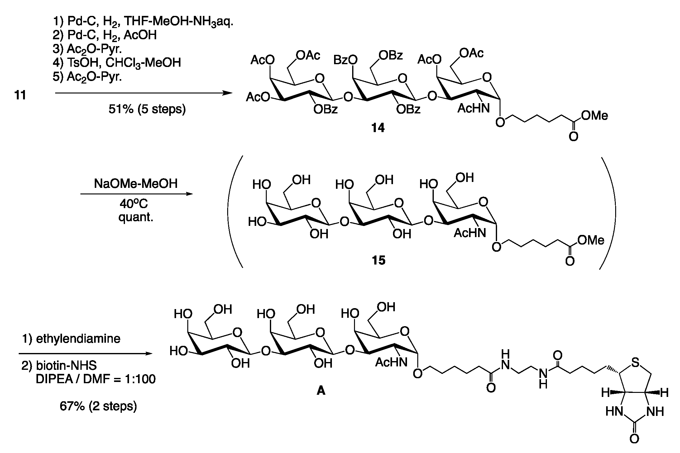 Molecules 26 05652 sch002