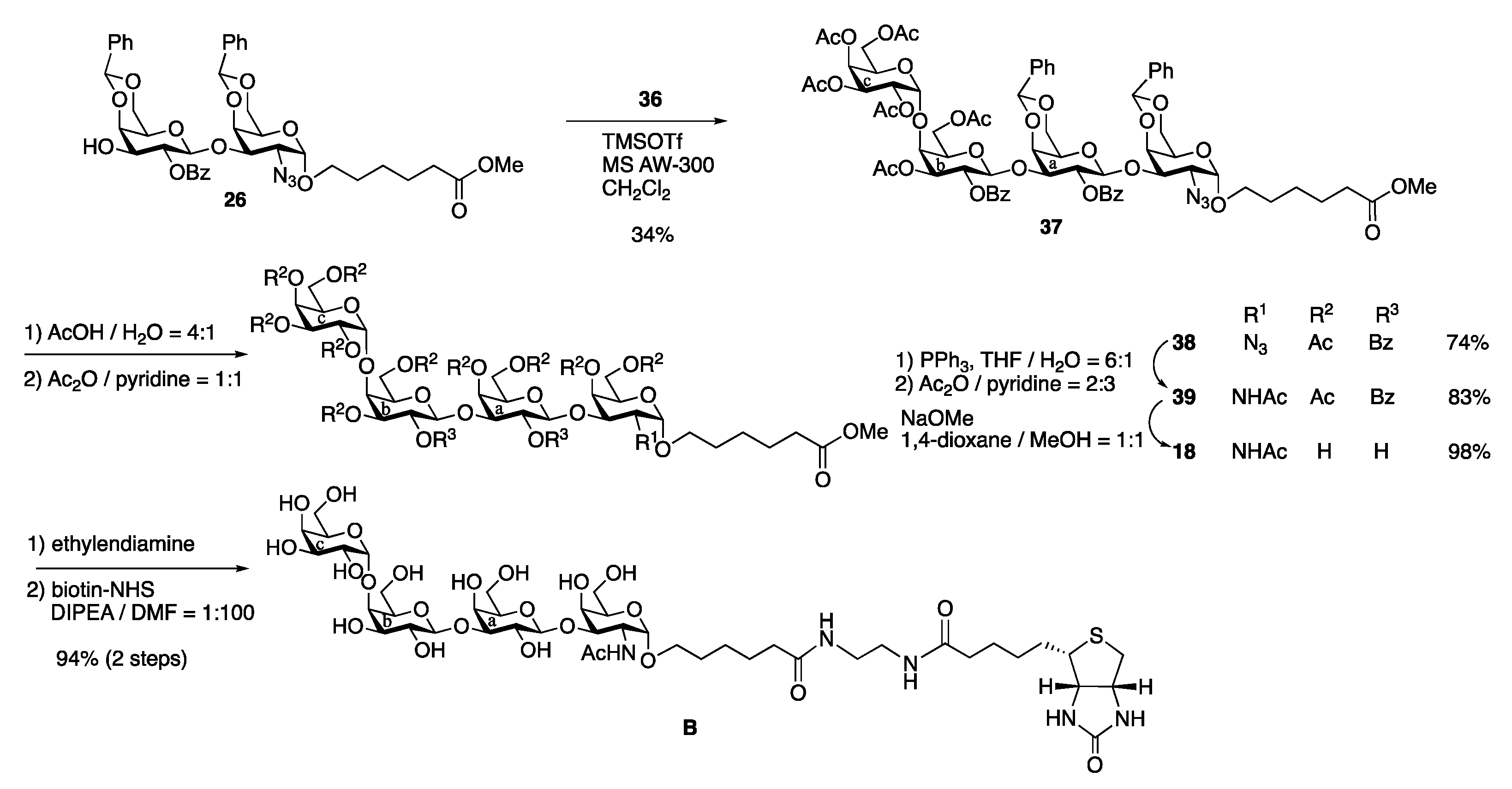 Molecules 26 05652 sch008