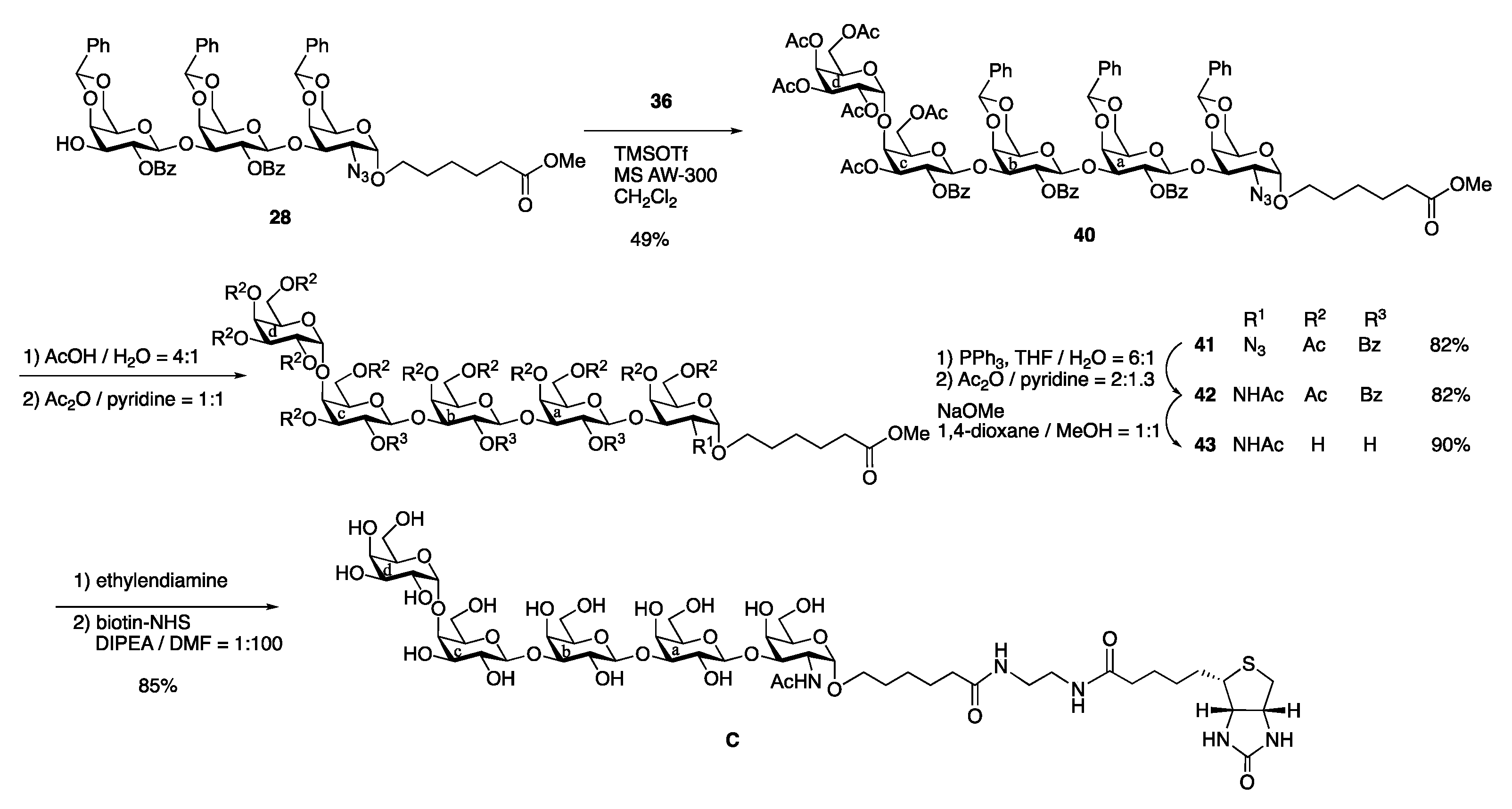 Molecules 26 05652 sch009
