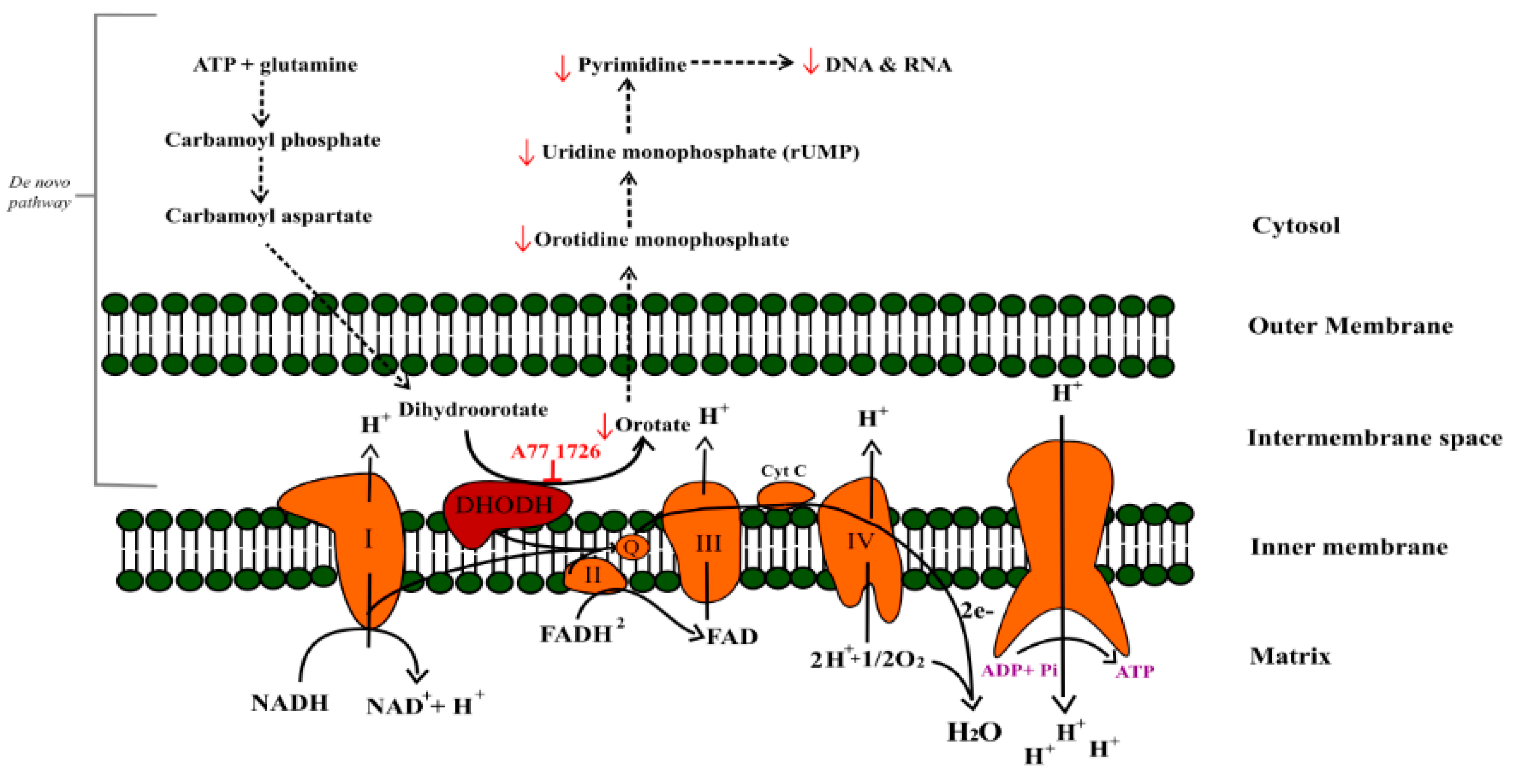 Molecules 26 05653 g002