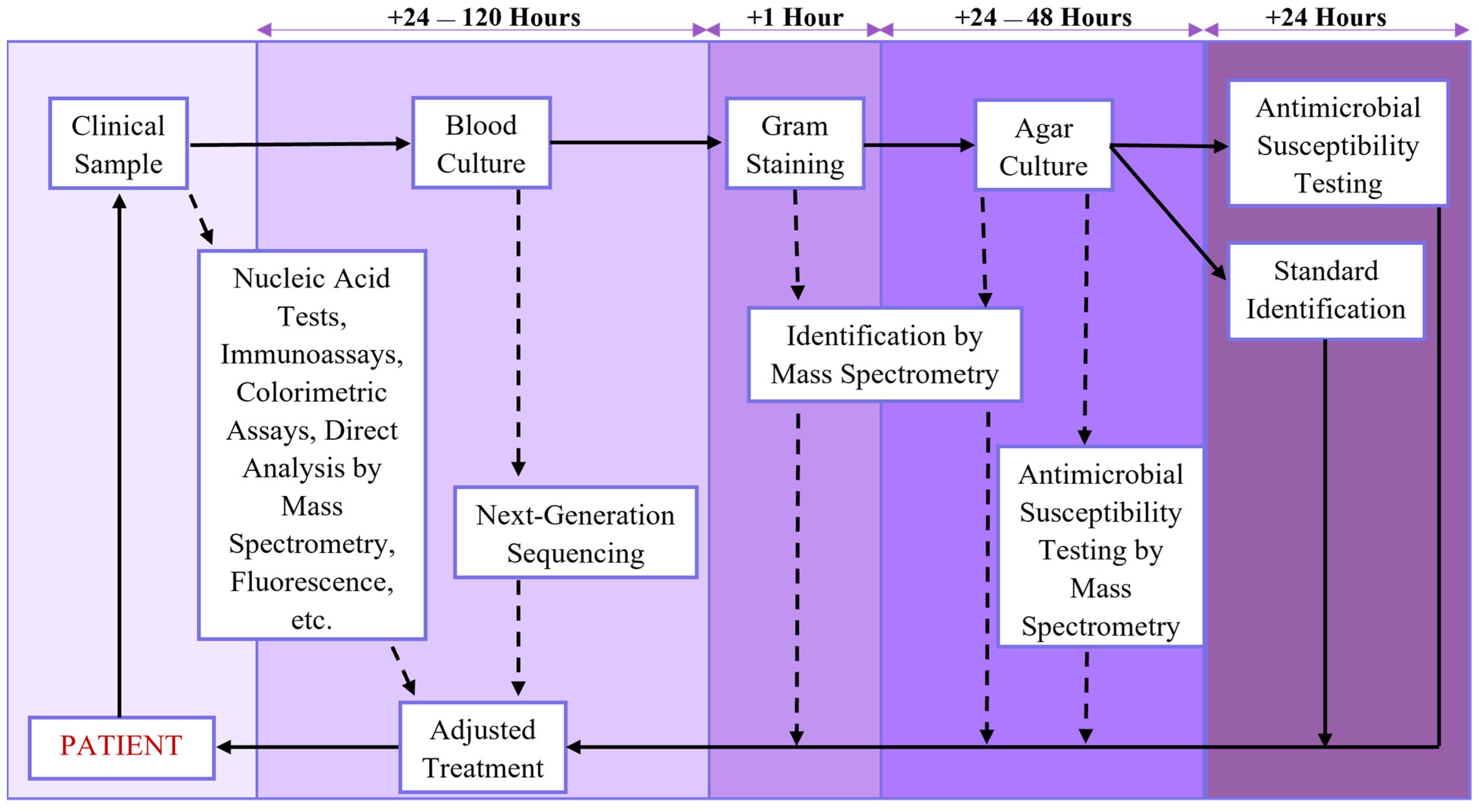 Molecules 26 05666 g001