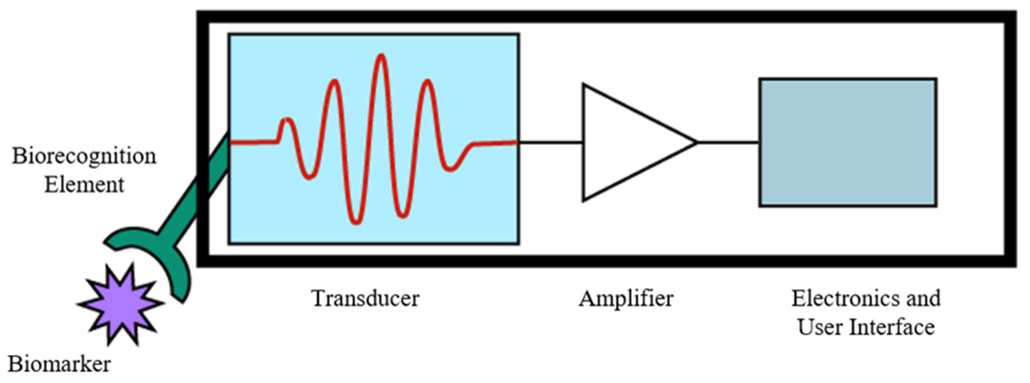 Molecules 26 05666 g005