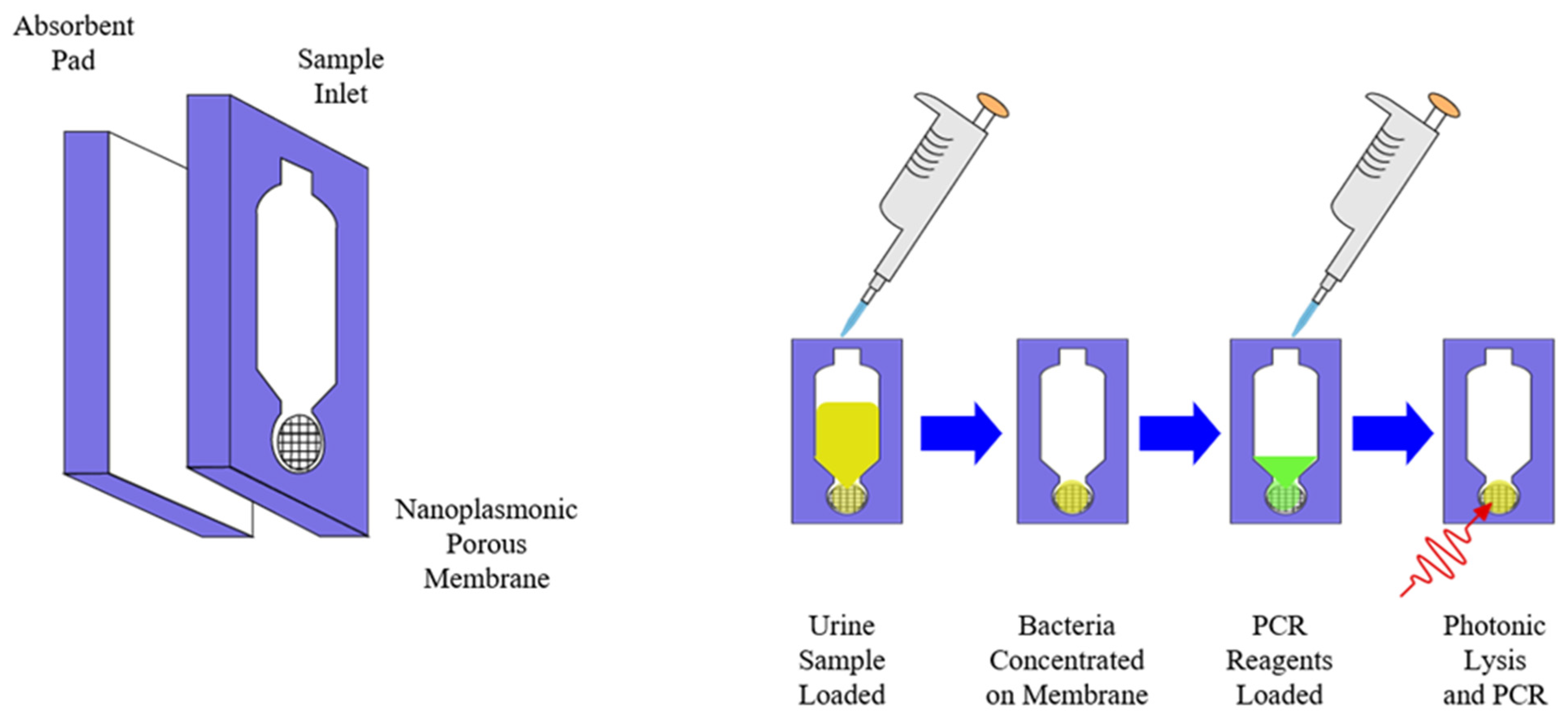 Molecules 26 05666 g006