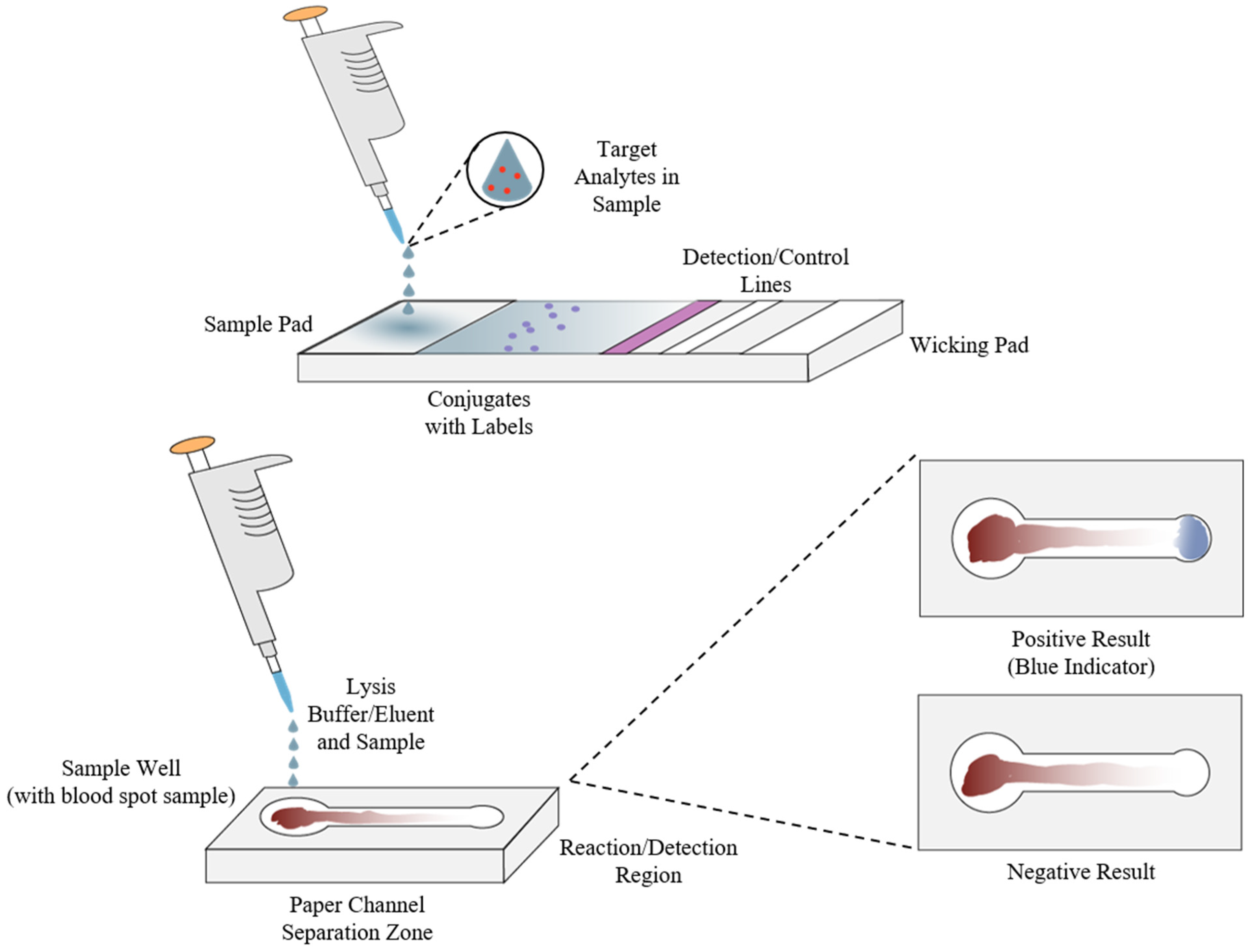 Molecules 26 05666 g007
