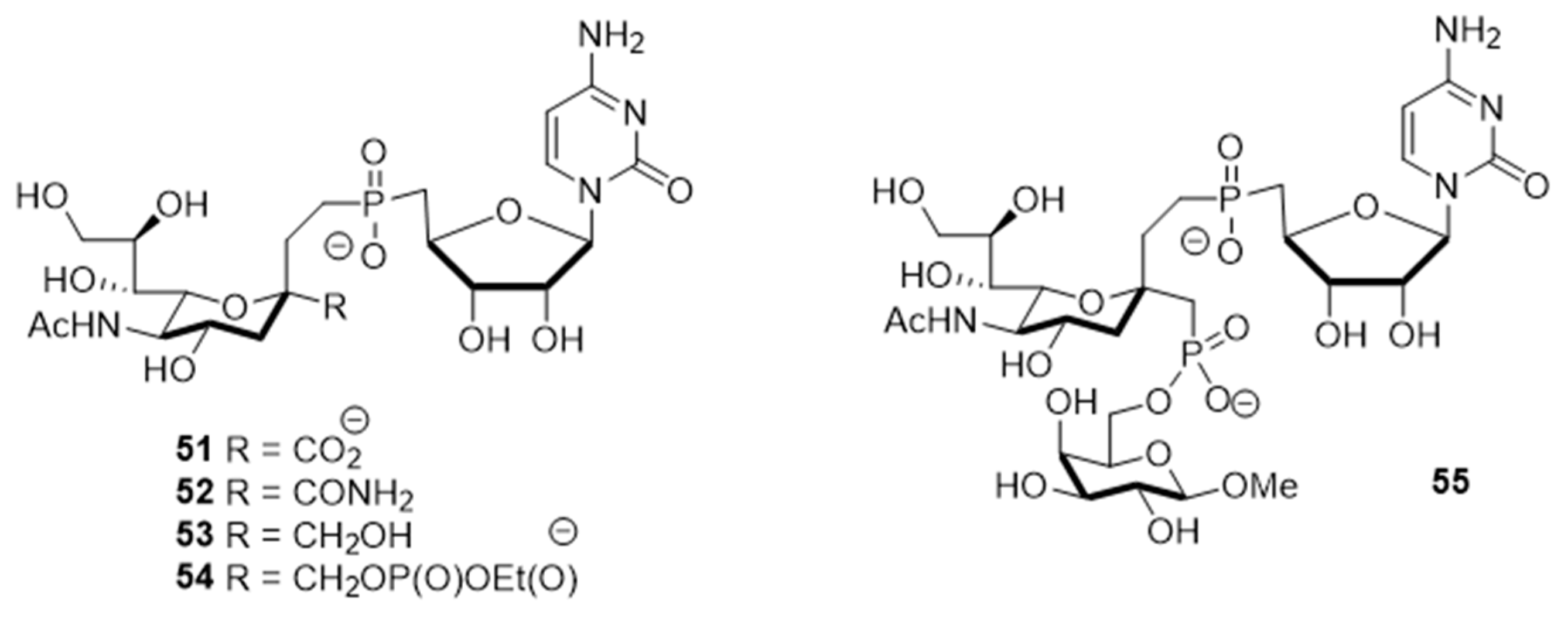 Molecules 26 05673 g008