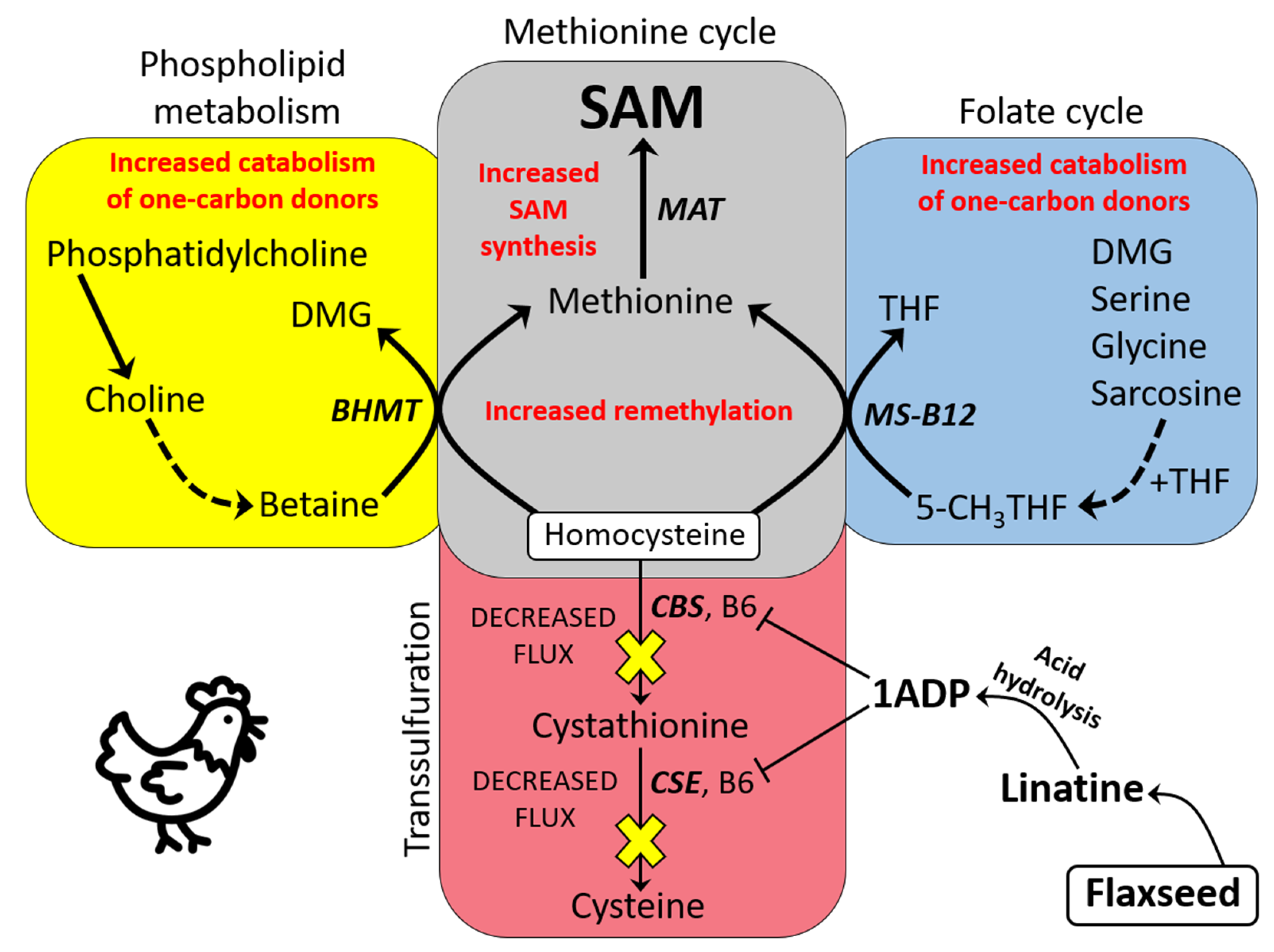 Molecules 26 05674 g008 Molecules 26 05674 g008